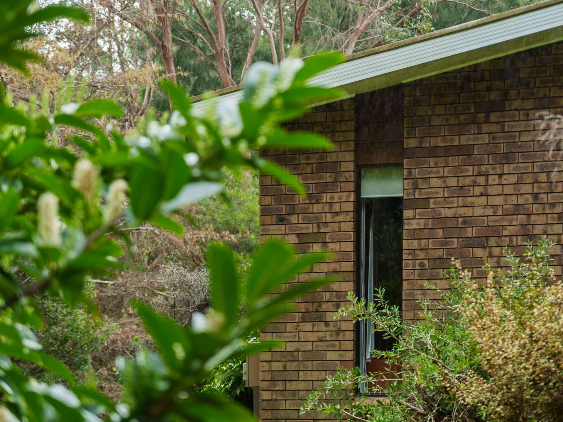 101 James  Road, Acacia Hills For Sale by Farmbuy.com - image 29