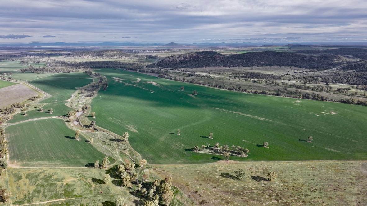 177 Therribri Road, Boggabri For Sale by Farmbuy.com - image 4