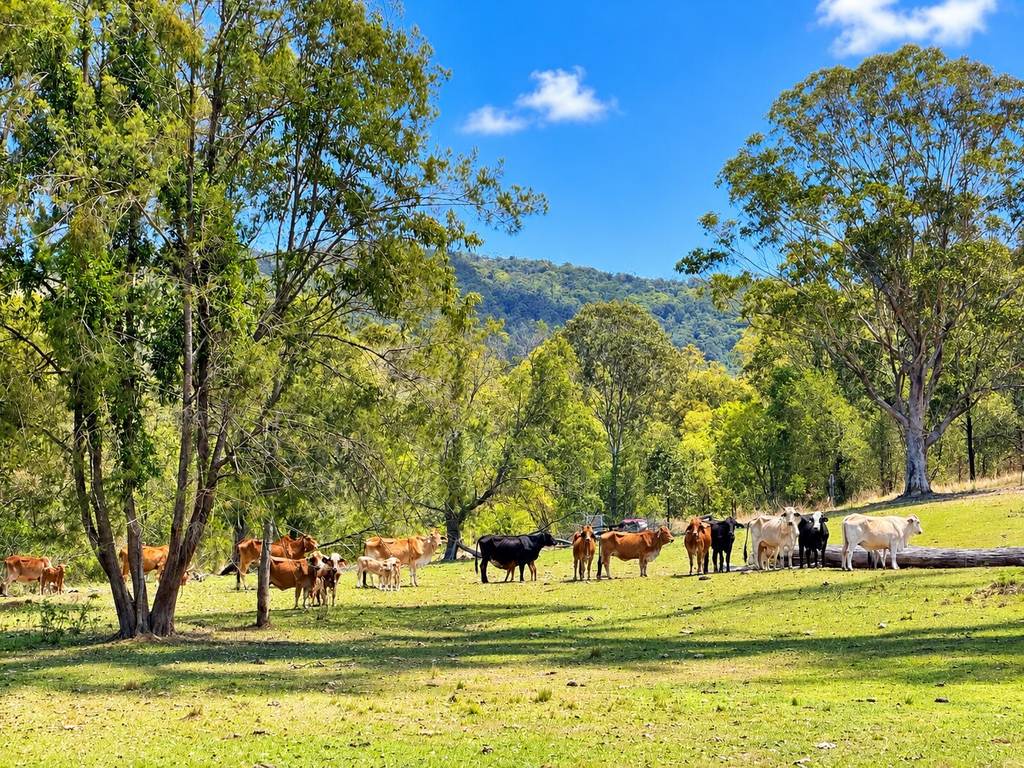 2310 Amamoor Creek Road, Amamoor Creek QLD 4570