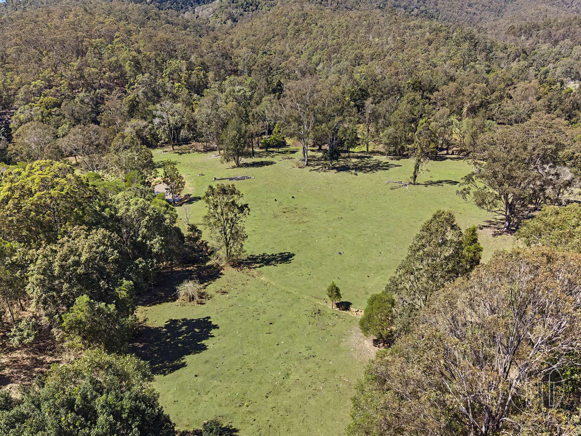 2310 Amamoor Creek Road, Amamoor Creek For Sale by Farmbuy.com - image 23