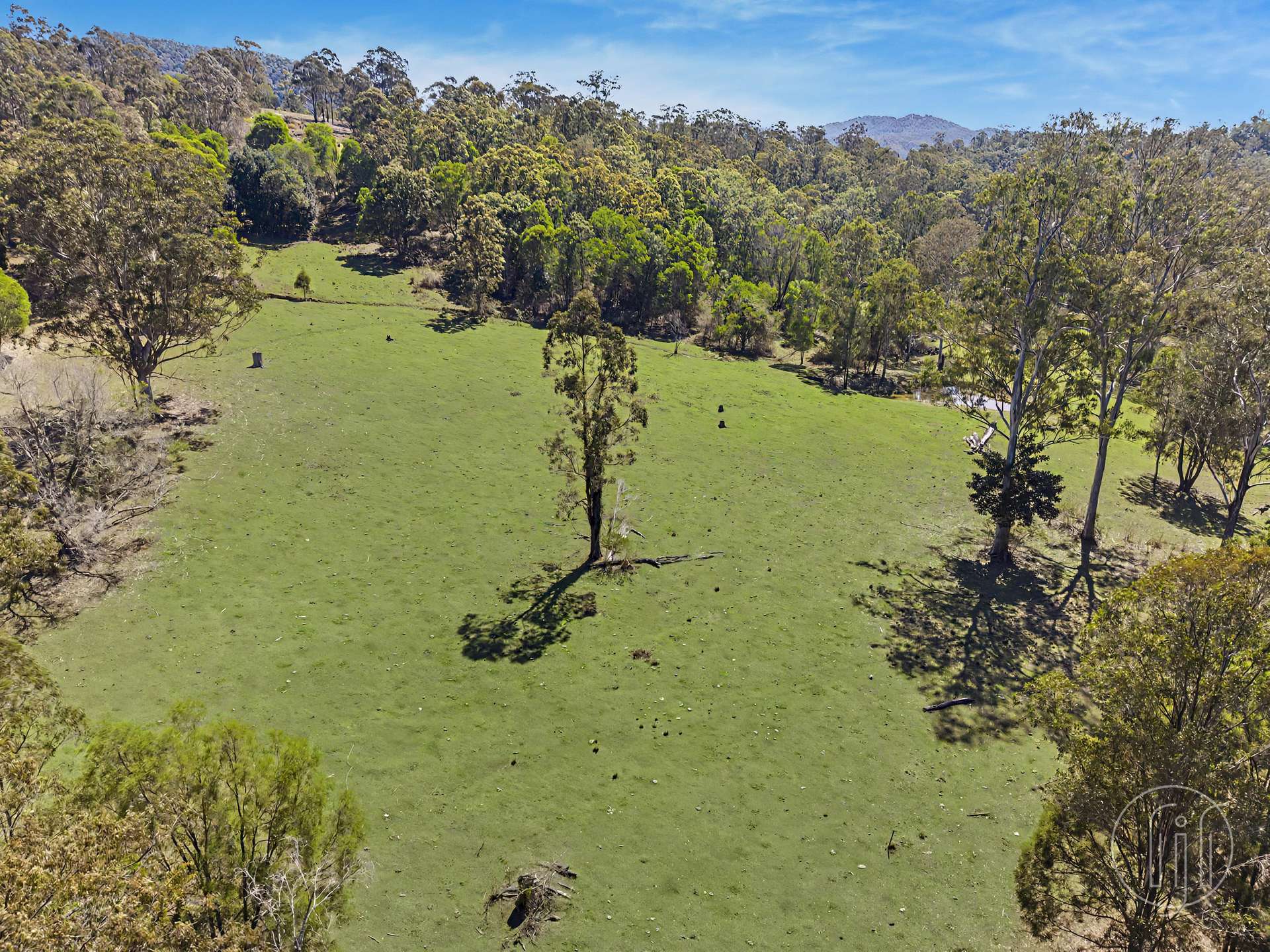 2310 Amamoor Creek Road, Amamoor Creek For Sale by Farmbuy.com - image 5