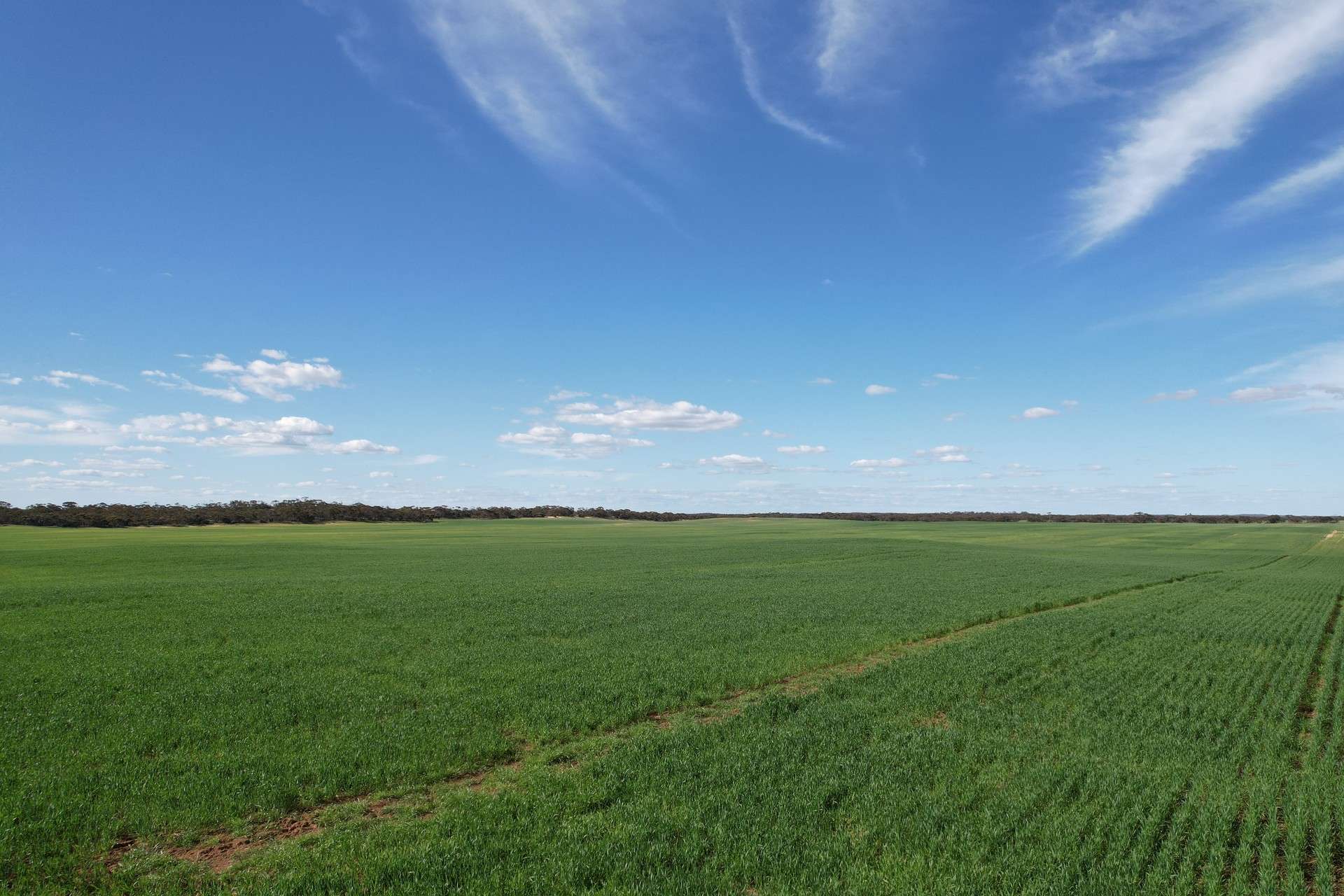 1305 Charleson Road, Sandalwood For Sale by Farmbuy.com - image 5