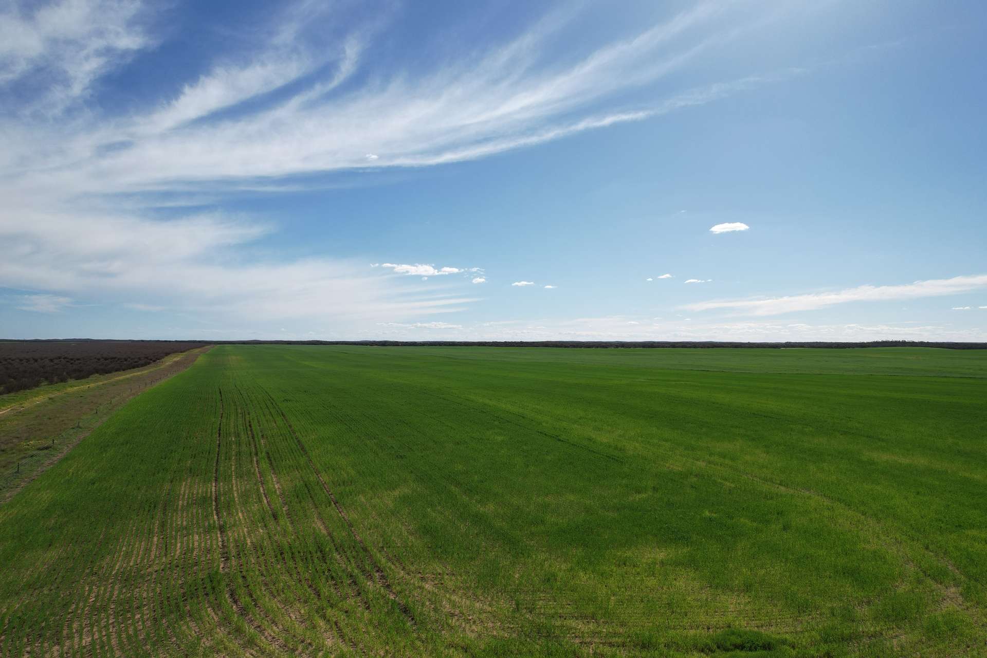 1305 Charleson Road, Sandalwood For Sale by Farmbuy.com - image 6