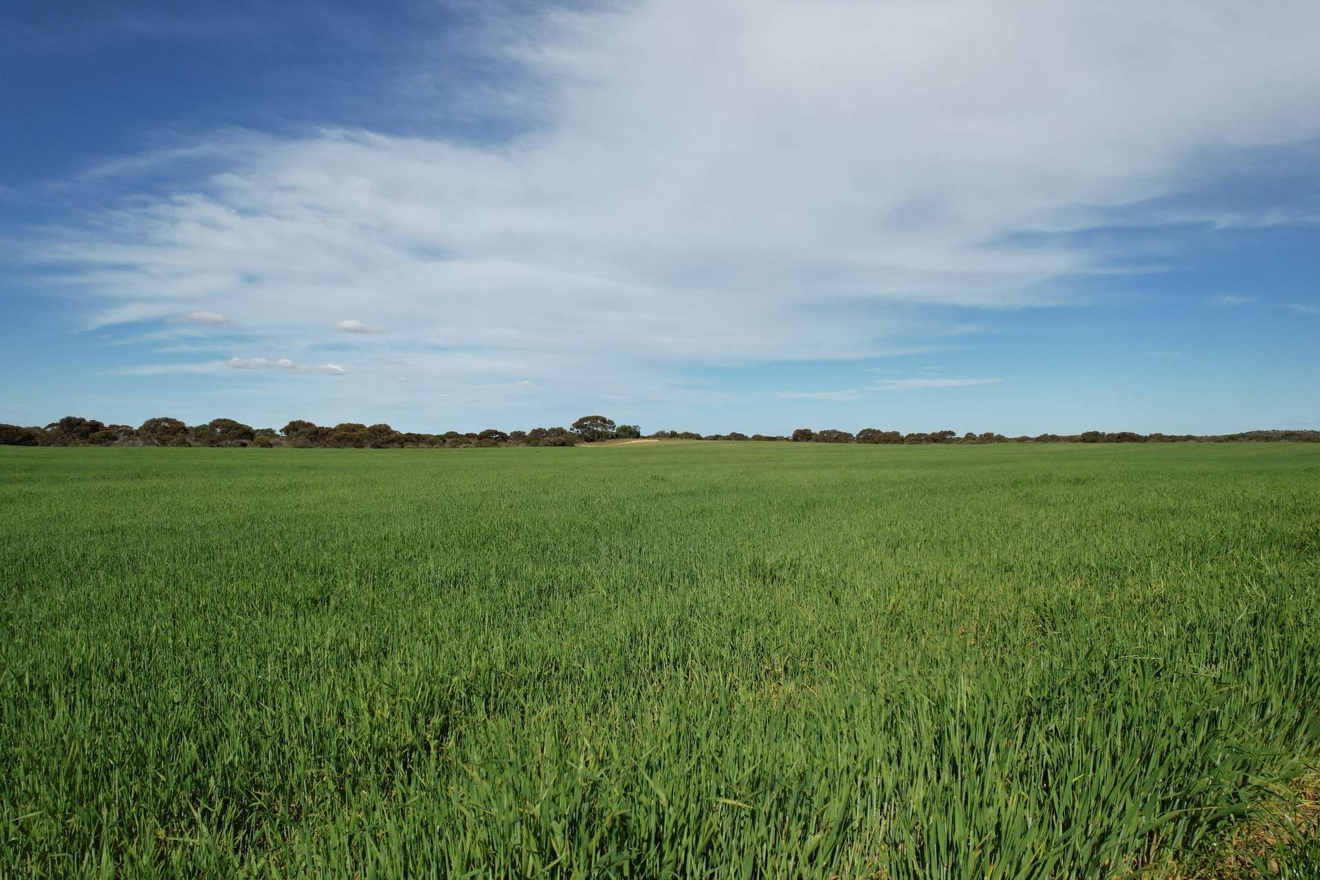 1305 Charleson Road, Sandalwood For Sale by Farmbuy.com - image 3