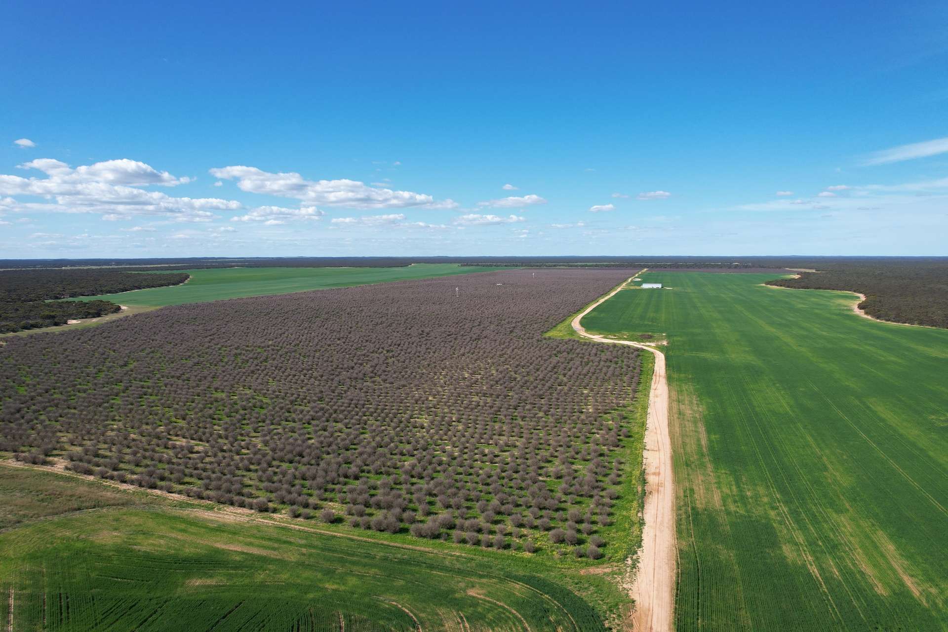 1305 Charleson Road, Sandalwood For Sale by Farmbuy.com - image 8