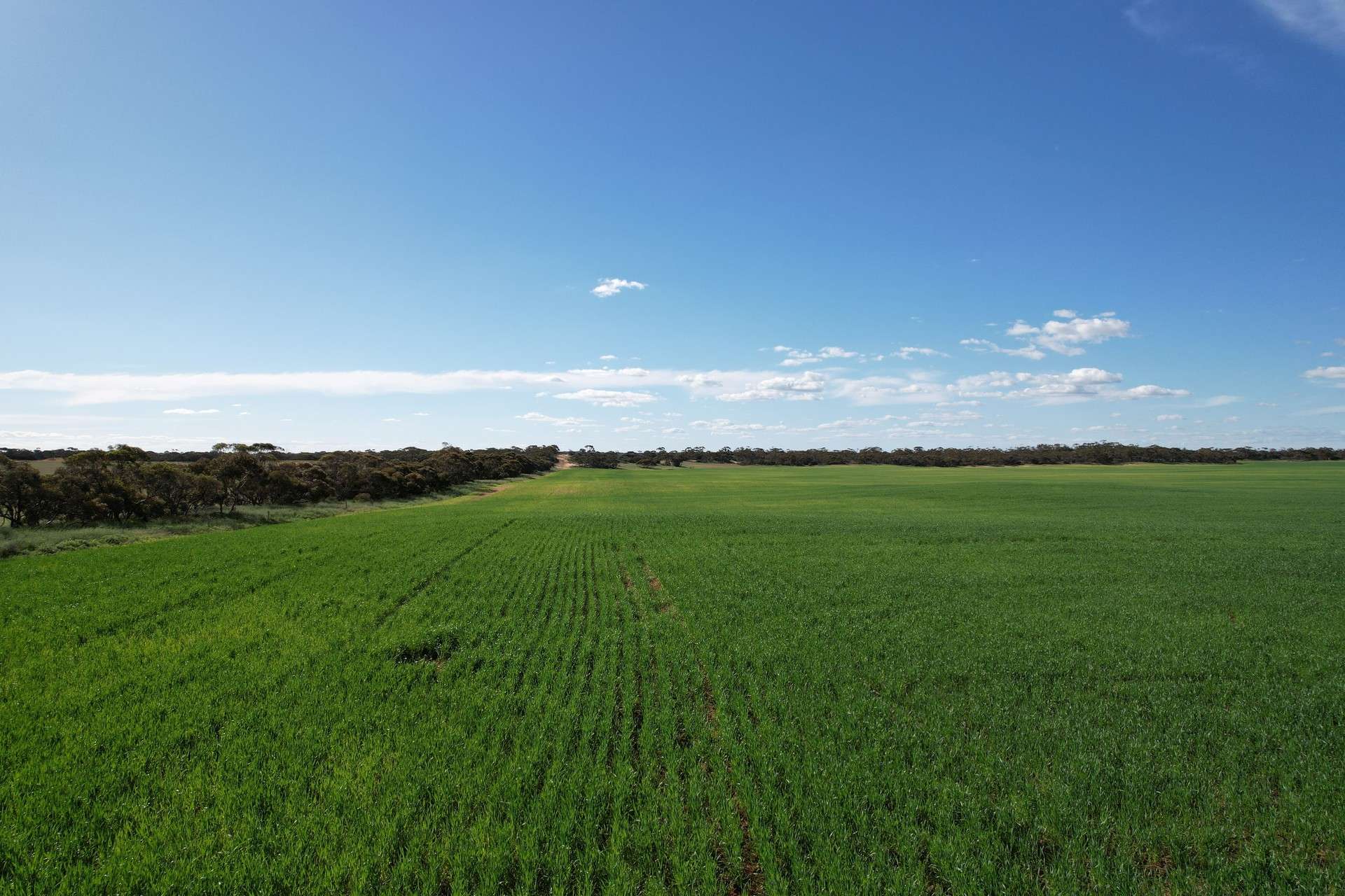 1305 Charleson Road, Sandalwood For Sale by Farmbuy.com - image 4