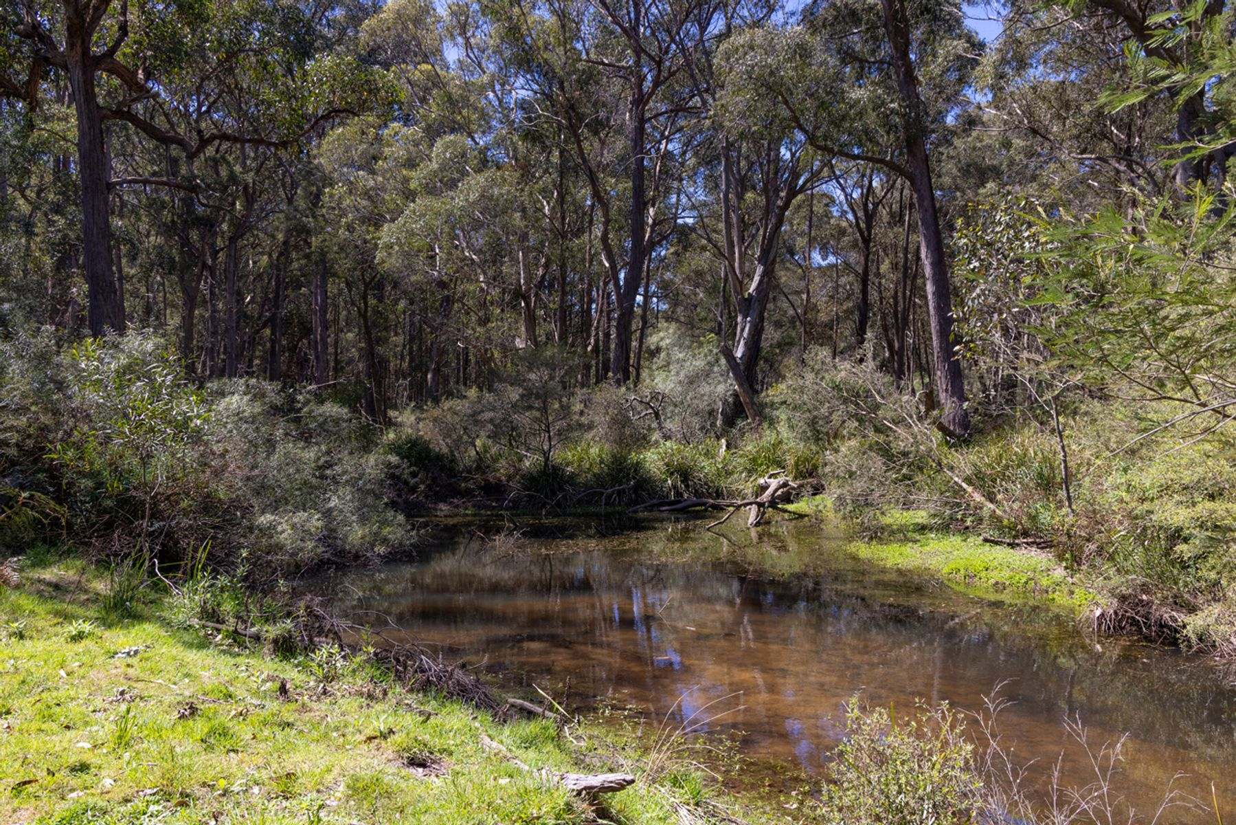632 Old Argyle Road, Exeter For Sale by Farmbuy.com - image 9
