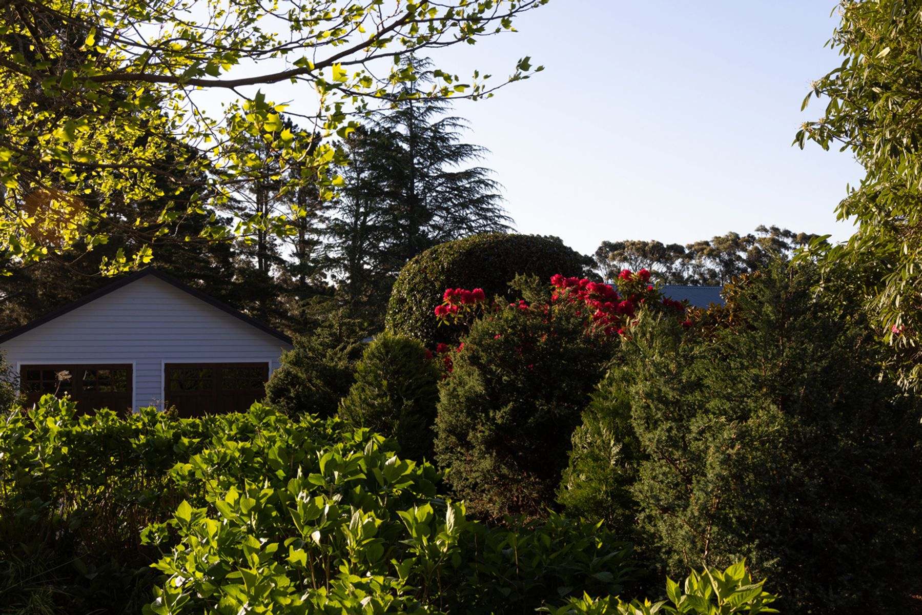 632 Old Argyle Road, Exeter For Sale by Farmbuy.com - image 35