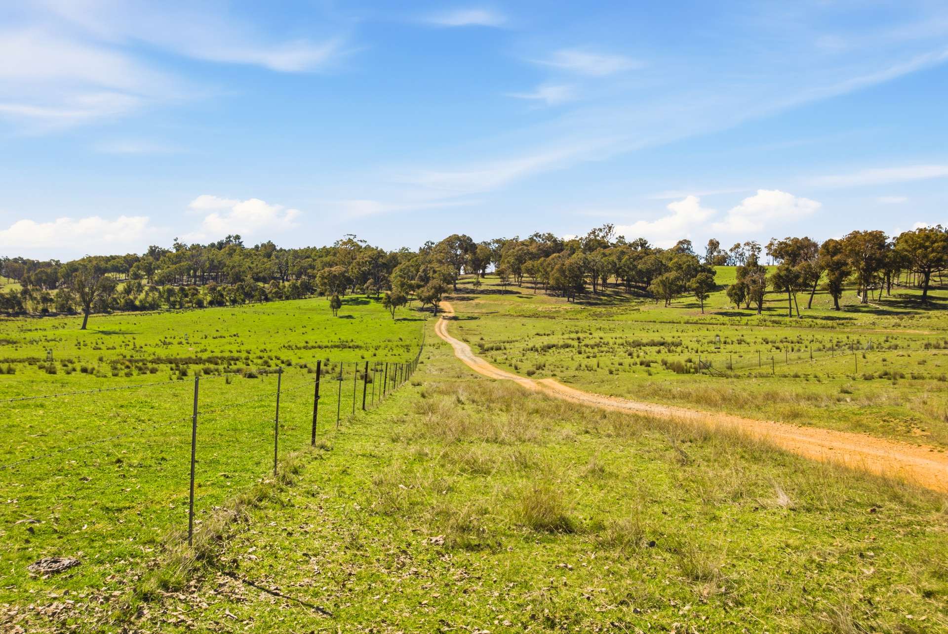 140 Boutchers Drive, Murrumbateman For Sale by Farmbuy.com - image 8