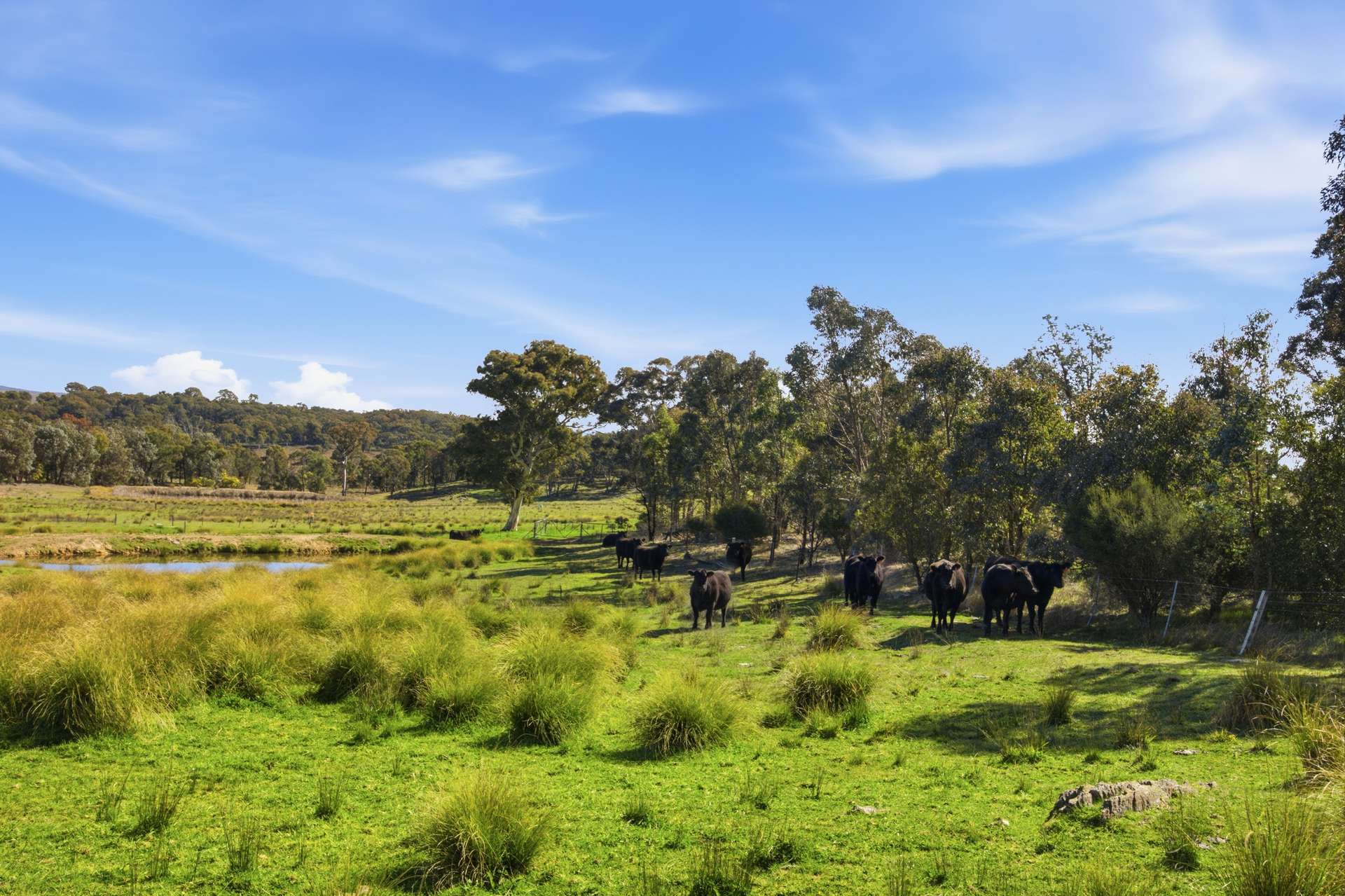 140 Boutchers Drive, Murrumbateman For Sale by Farmbuy.com - image 24