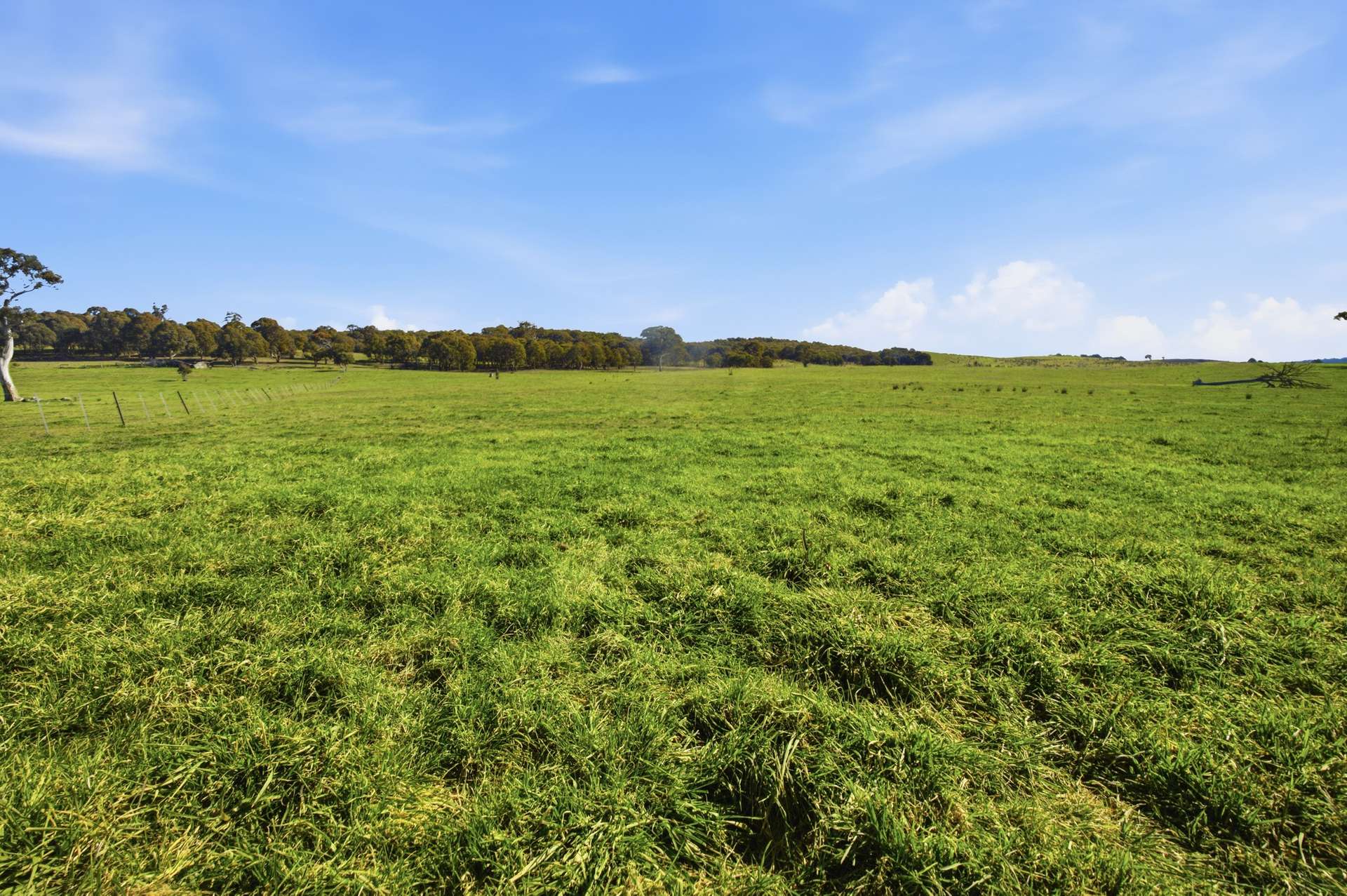 140 Boutchers Drive, Murrumbateman For Sale by Farmbuy.com - image 20