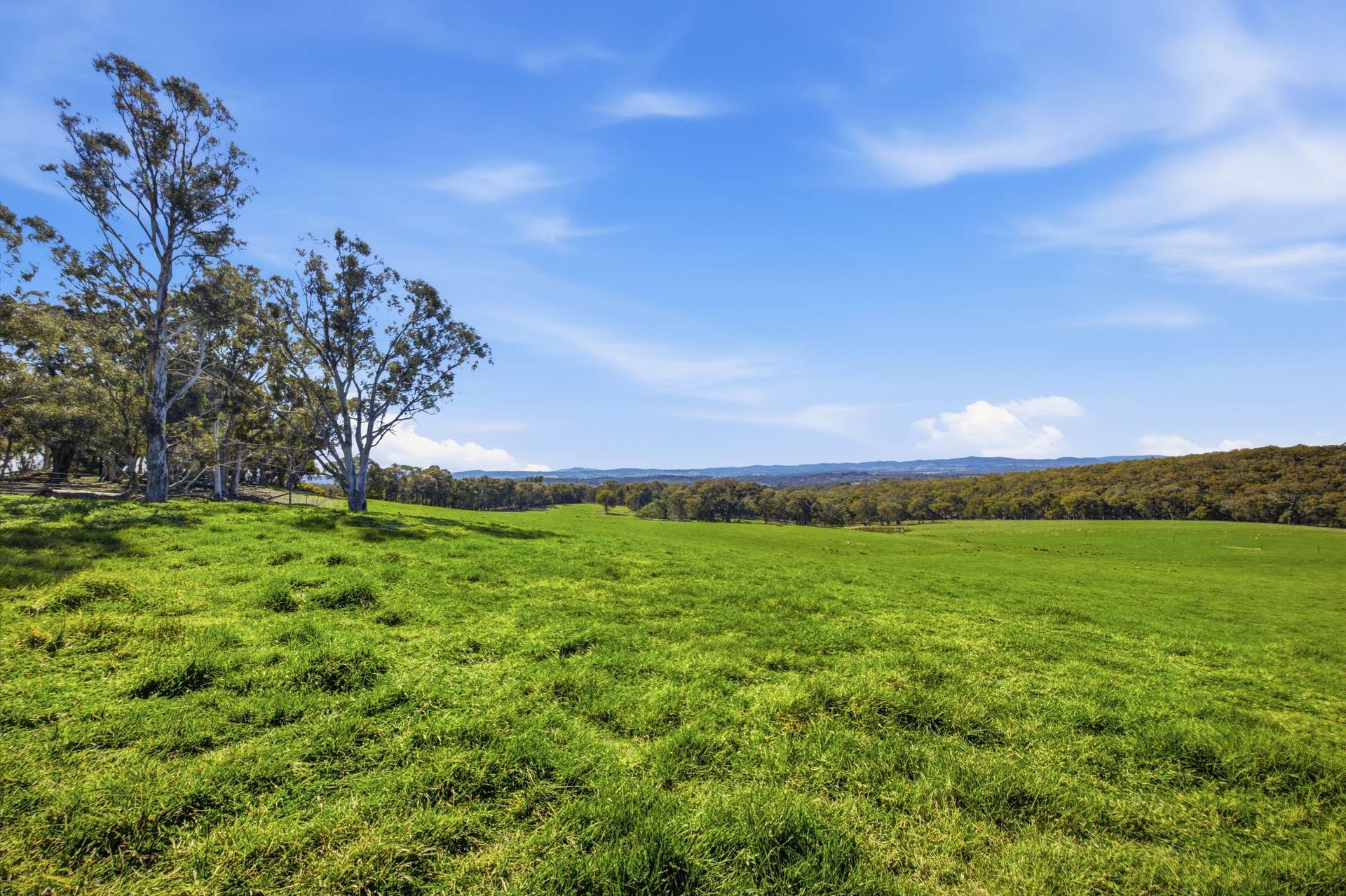140 Boutchers Drive, Murrumbateman For Sale by Farmbuy.com - image 26