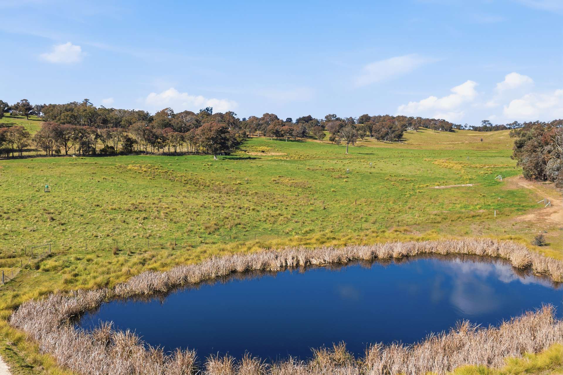 140 Boutchers Drive, Murrumbateman For Sale by Farmbuy.com - image 3
