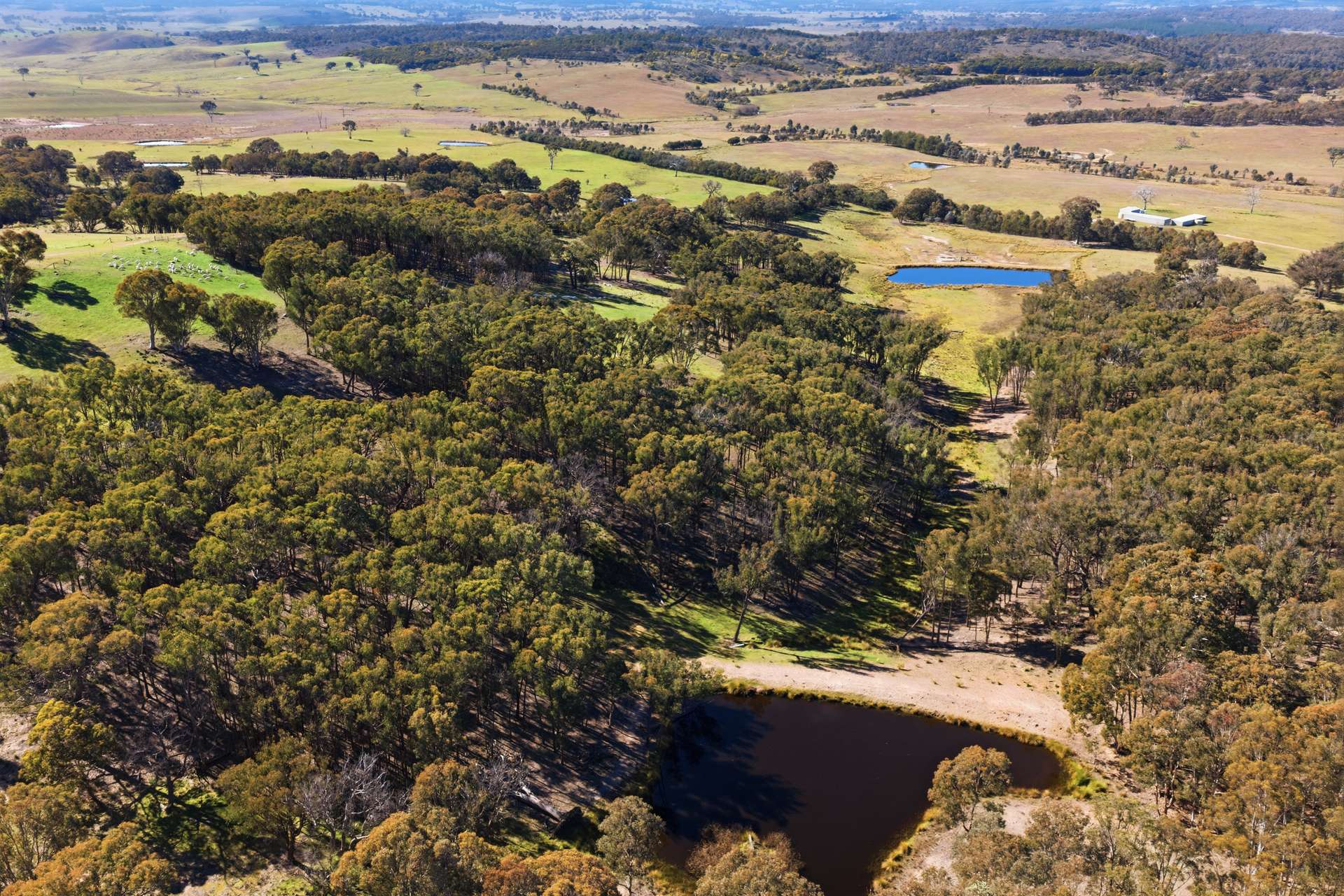 140 Boutchers Drive, Murrumbateman For Sale by Farmbuy.com - image 19