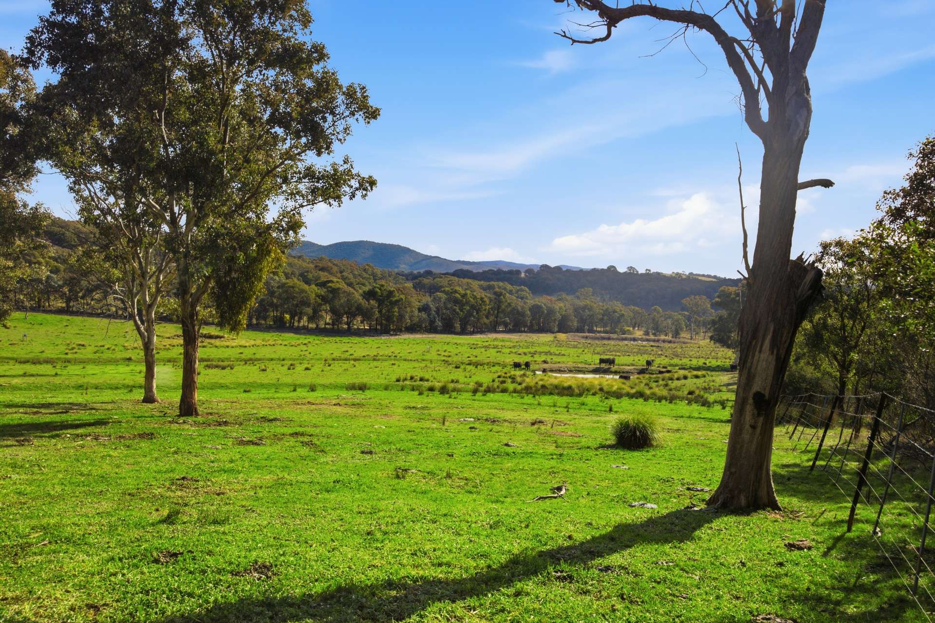140 Boutchers Drive, Murrumbateman For Sale by Farmbuy.com - image 5