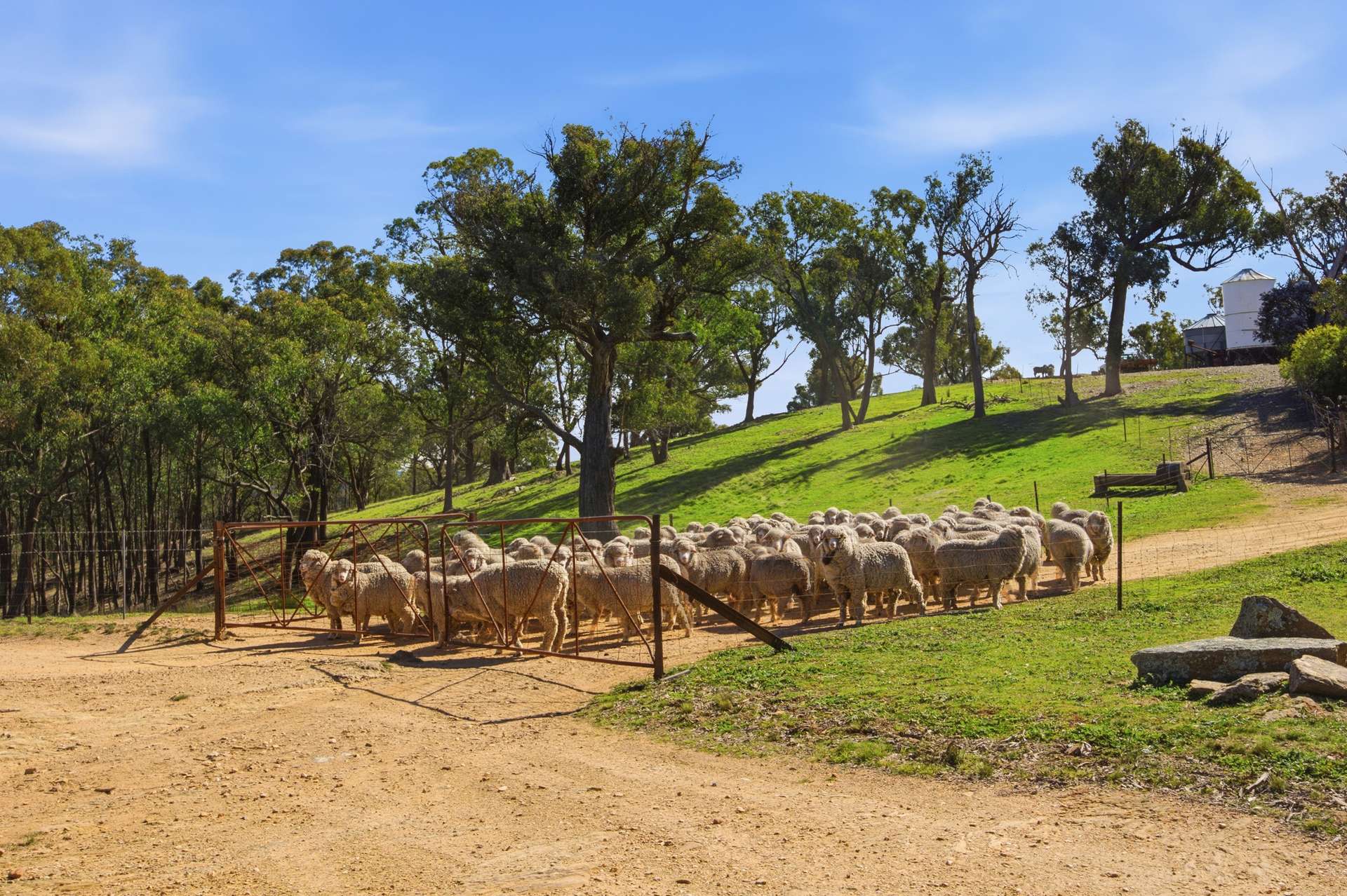 140 Boutchers Drive, Murrumbateman For Sale by Farmbuy.com - image 21