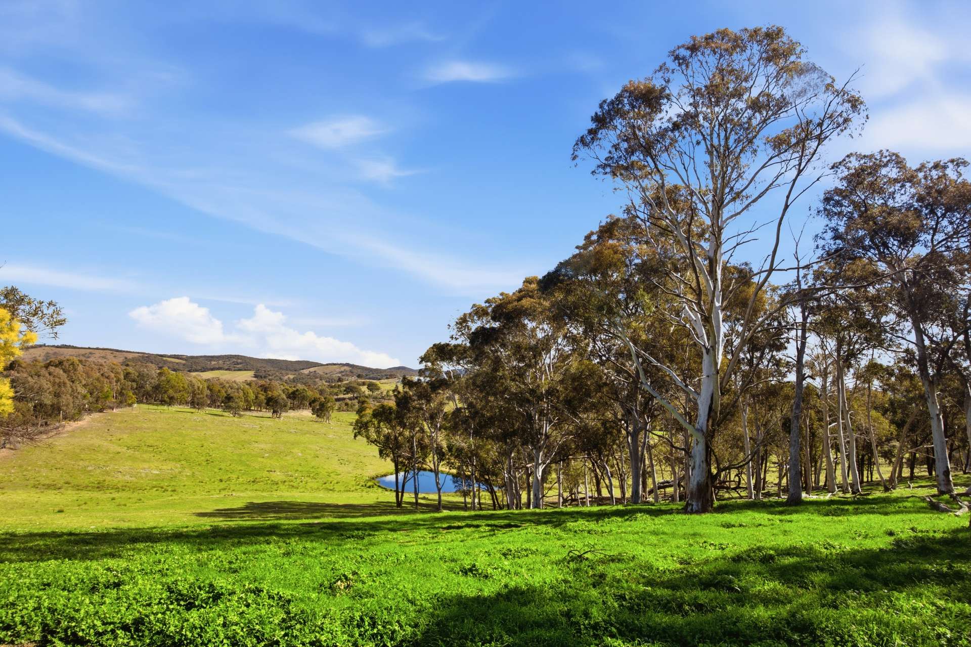 140 Boutchers Drive, Murrumbateman For Sale by Farmbuy.com - image 25