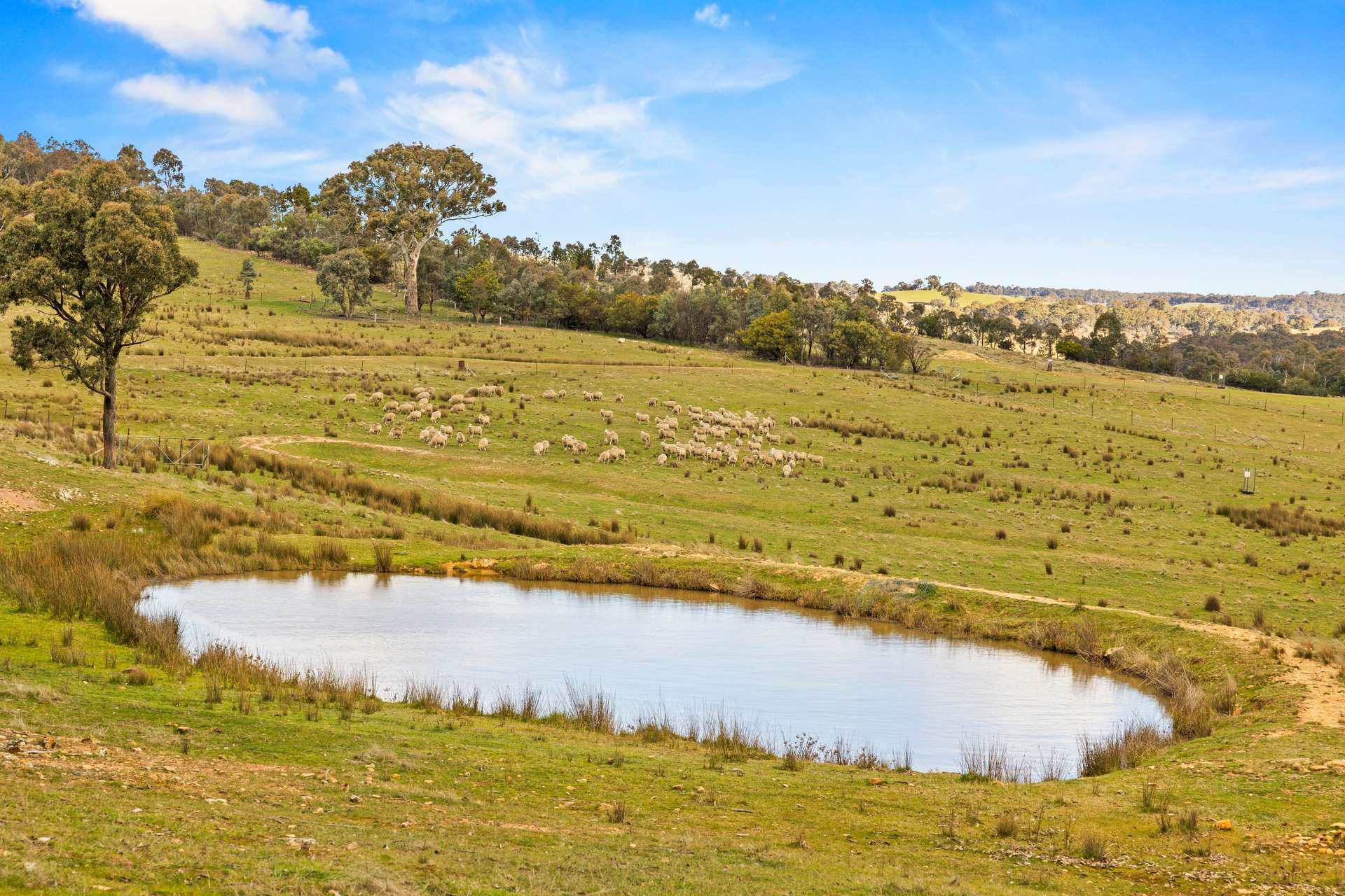 140 Boutchers Drive, Murrumbateman For Sale by Farmbuy.com - image 15