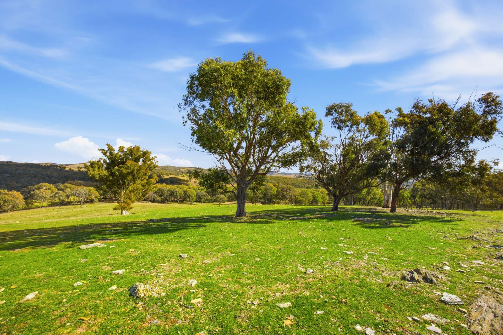 140 Boutchers Drive, Murrumbateman For Sale by Farmbuy.com - image 16