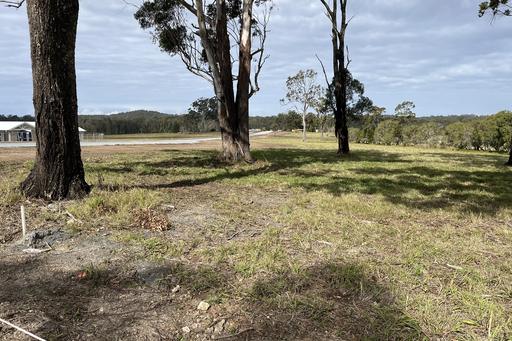 Farm For Sale - NSW - Sancrox - 2446 - PRIME LIFESTYLE BLOCK 