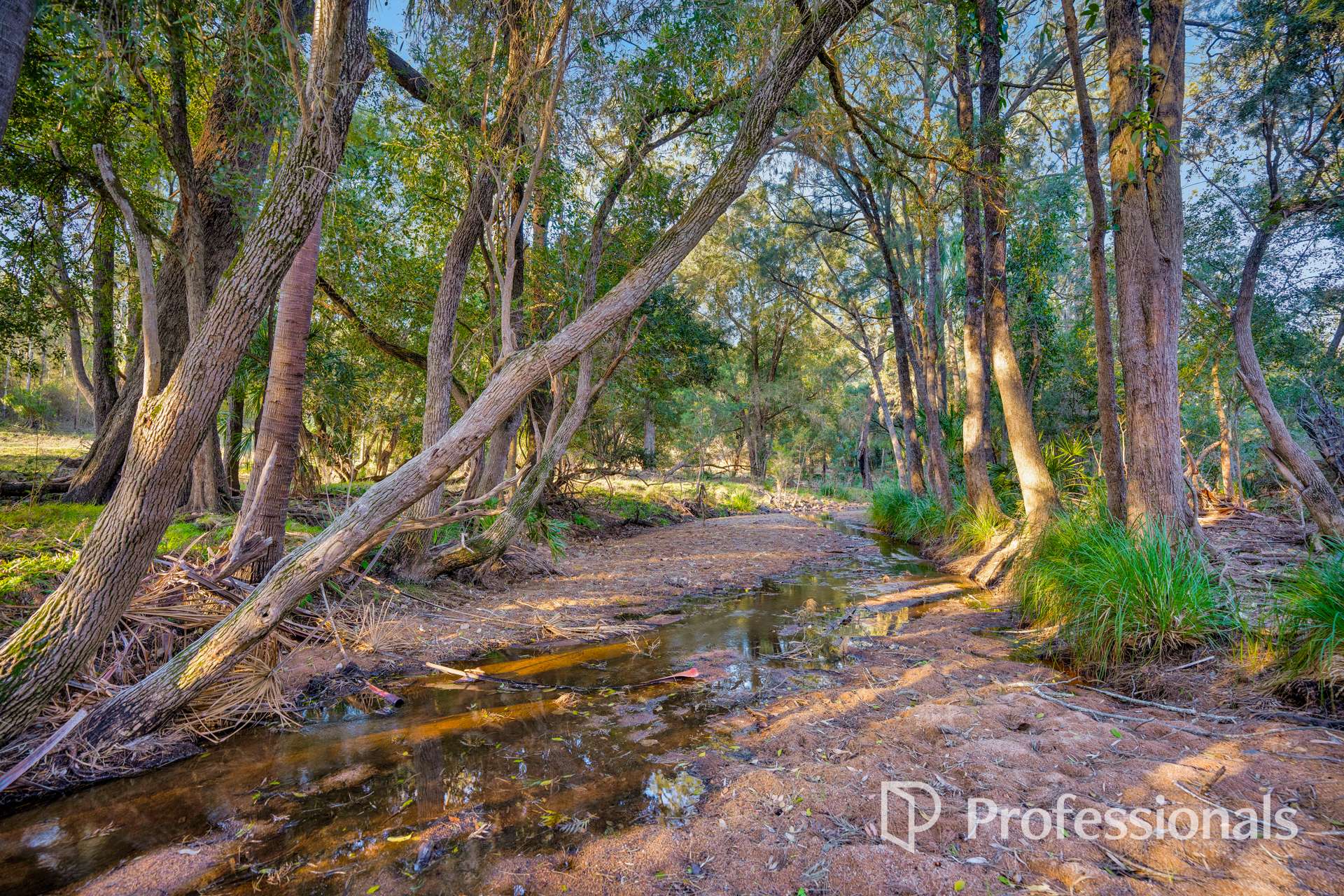 646 Thornside Road, Widgee For Sale by Farmbuy.com - image 20