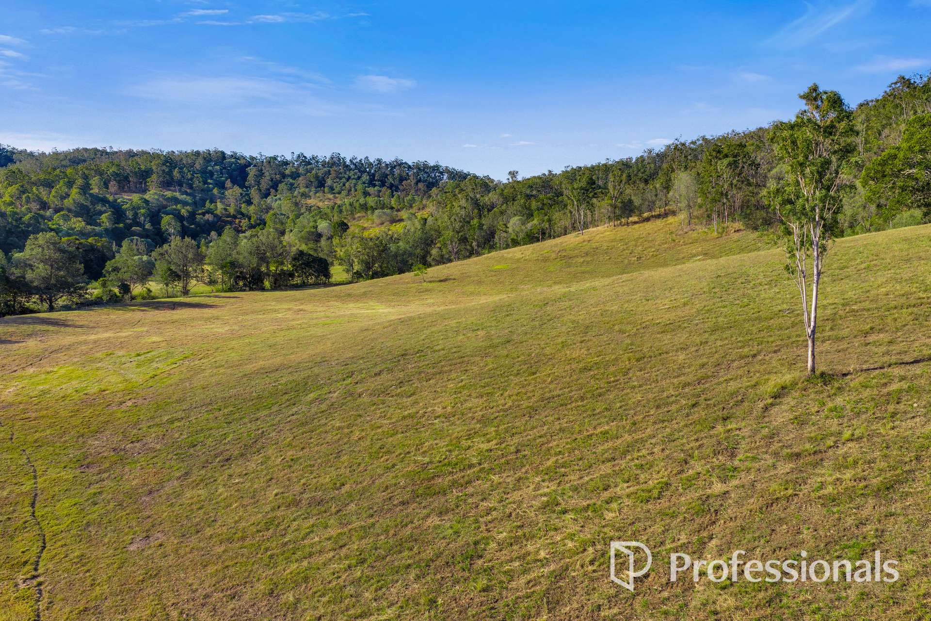 646 Thornside Road, Widgee For Sale by Farmbuy.com - image 16