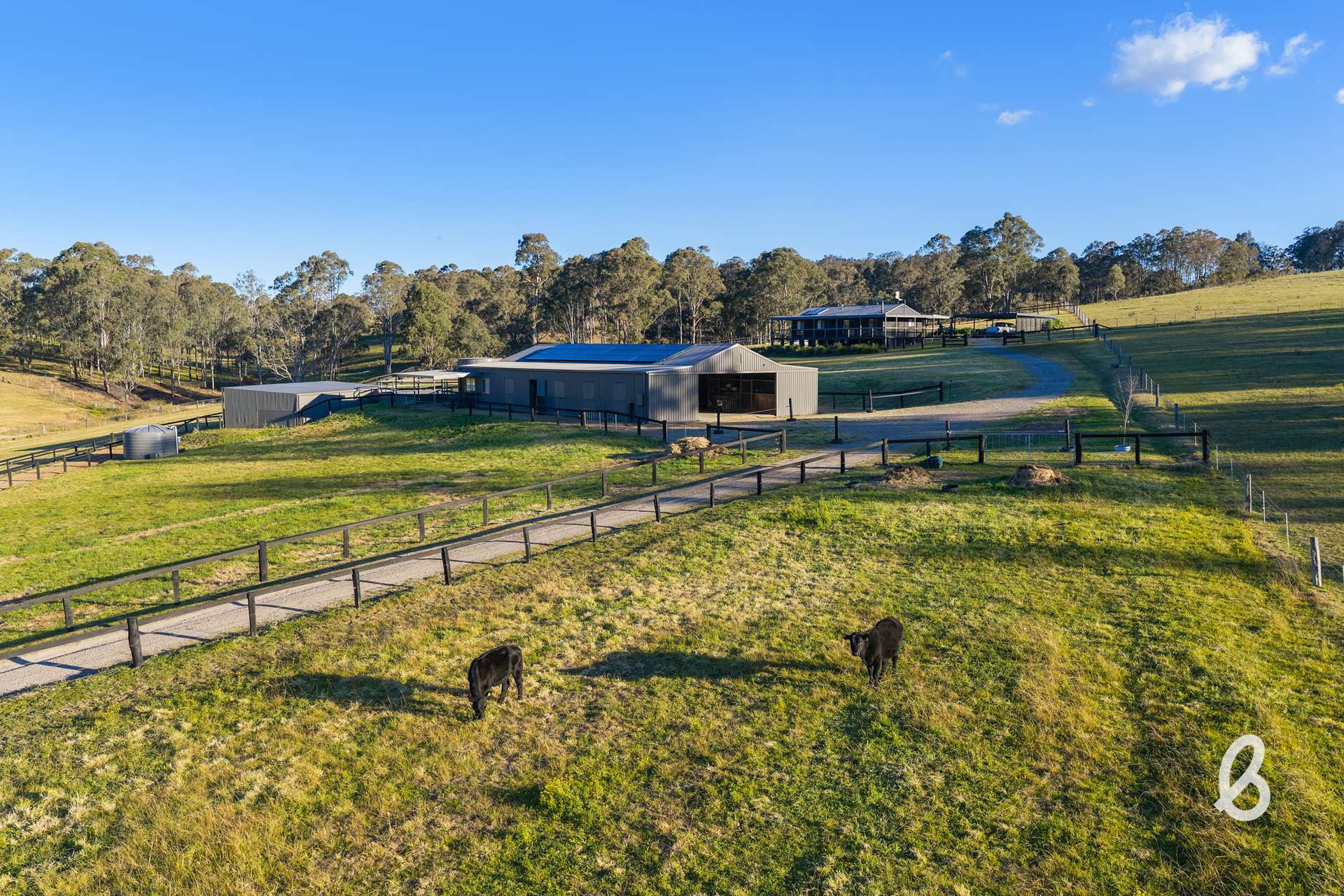 1629 Maitland Vale Road, Lambs Valley For Sale by Farmbuy.com - image 30