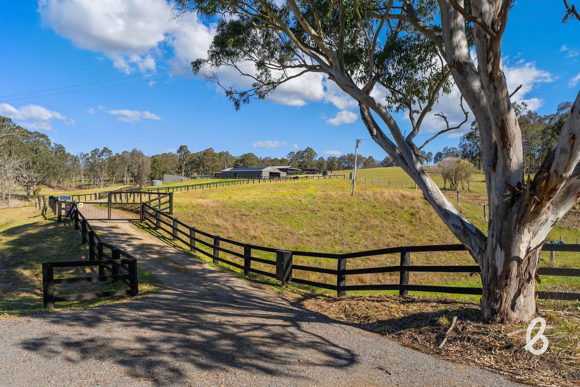 1629 Maitland Vale Road, Lambs Valley For Sale by Farmbuy.com - image 5