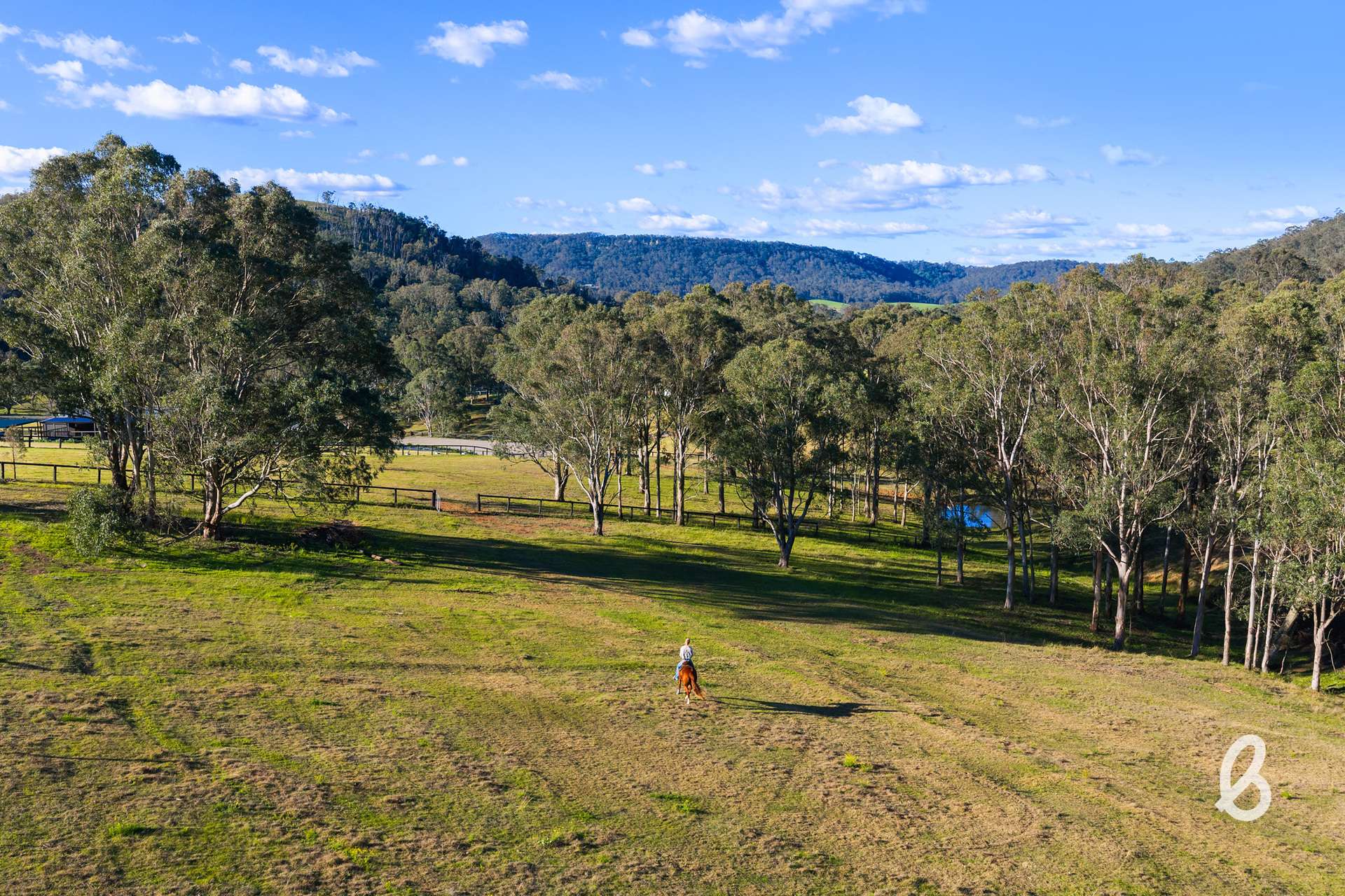 1629 Maitland Vale Road, Lambs Valley For Sale by Farmbuy.com - image 14
