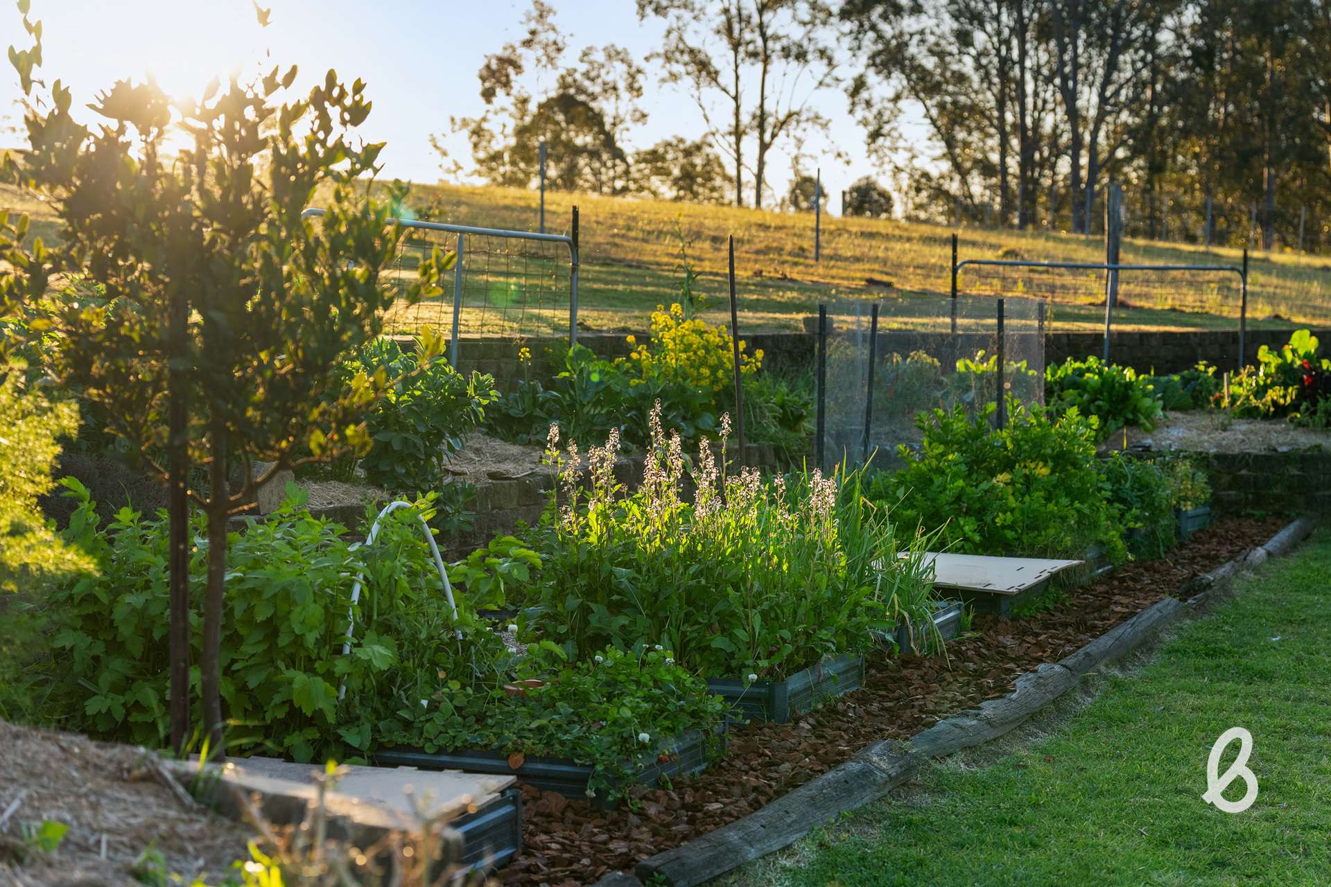 1629 Maitland Vale Road, Lambs Valley For Sale by Farmbuy.com - image 24