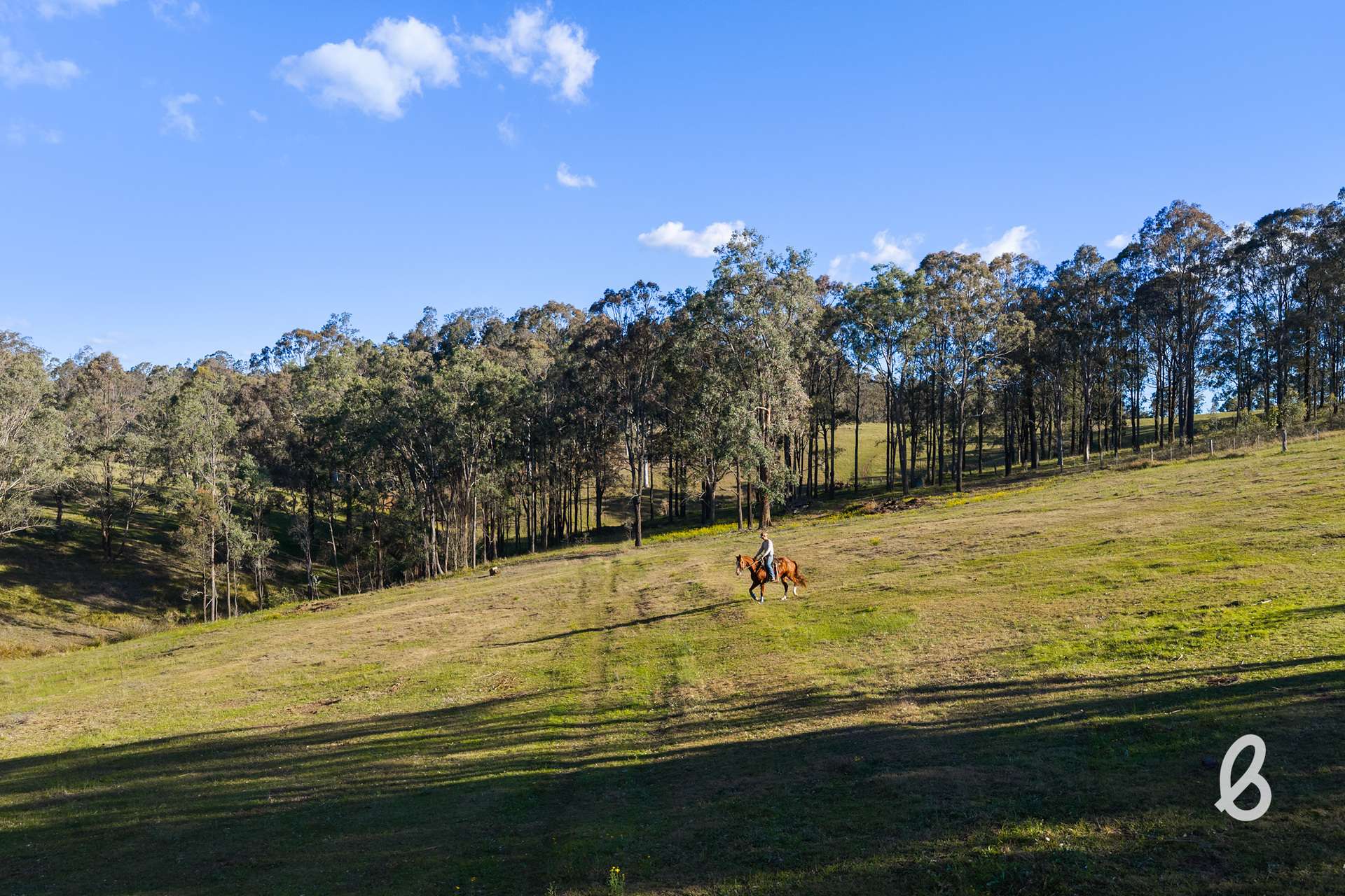 1629 Maitland Vale Road, Lambs Valley For Sale by Farmbuy.com - image 26