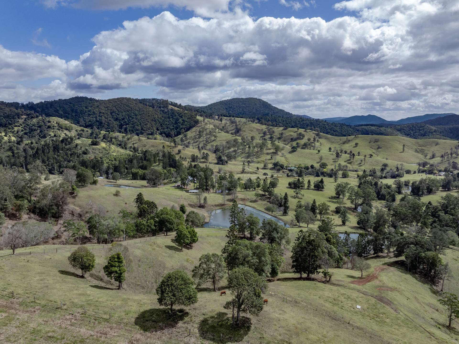 119 Perrys Road, Kidaman Creek Tender by Farmbuy.com - image 2