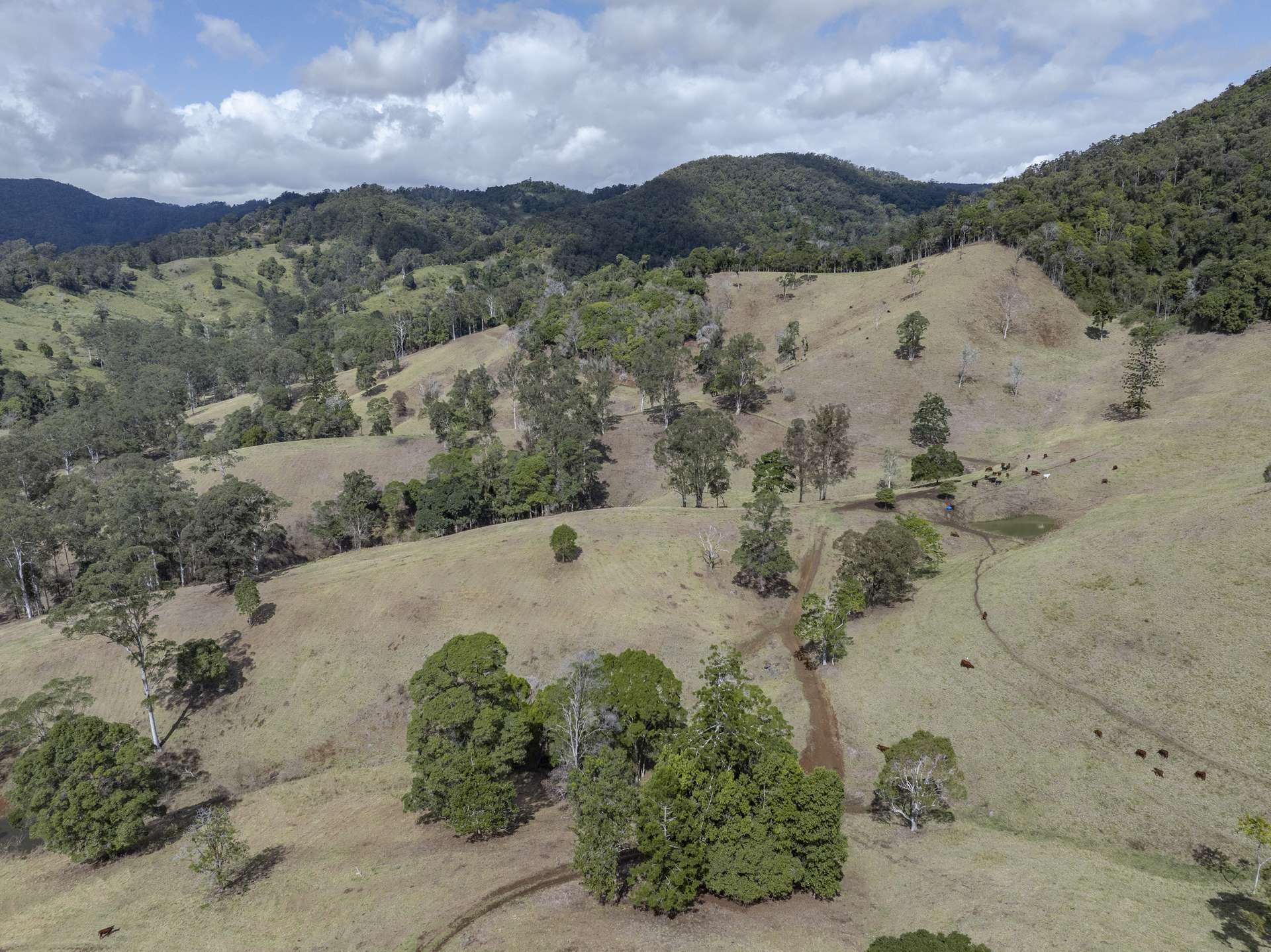 119 Perrys Road, Kidaman Creek Tender by Farmbuy.com - image 17