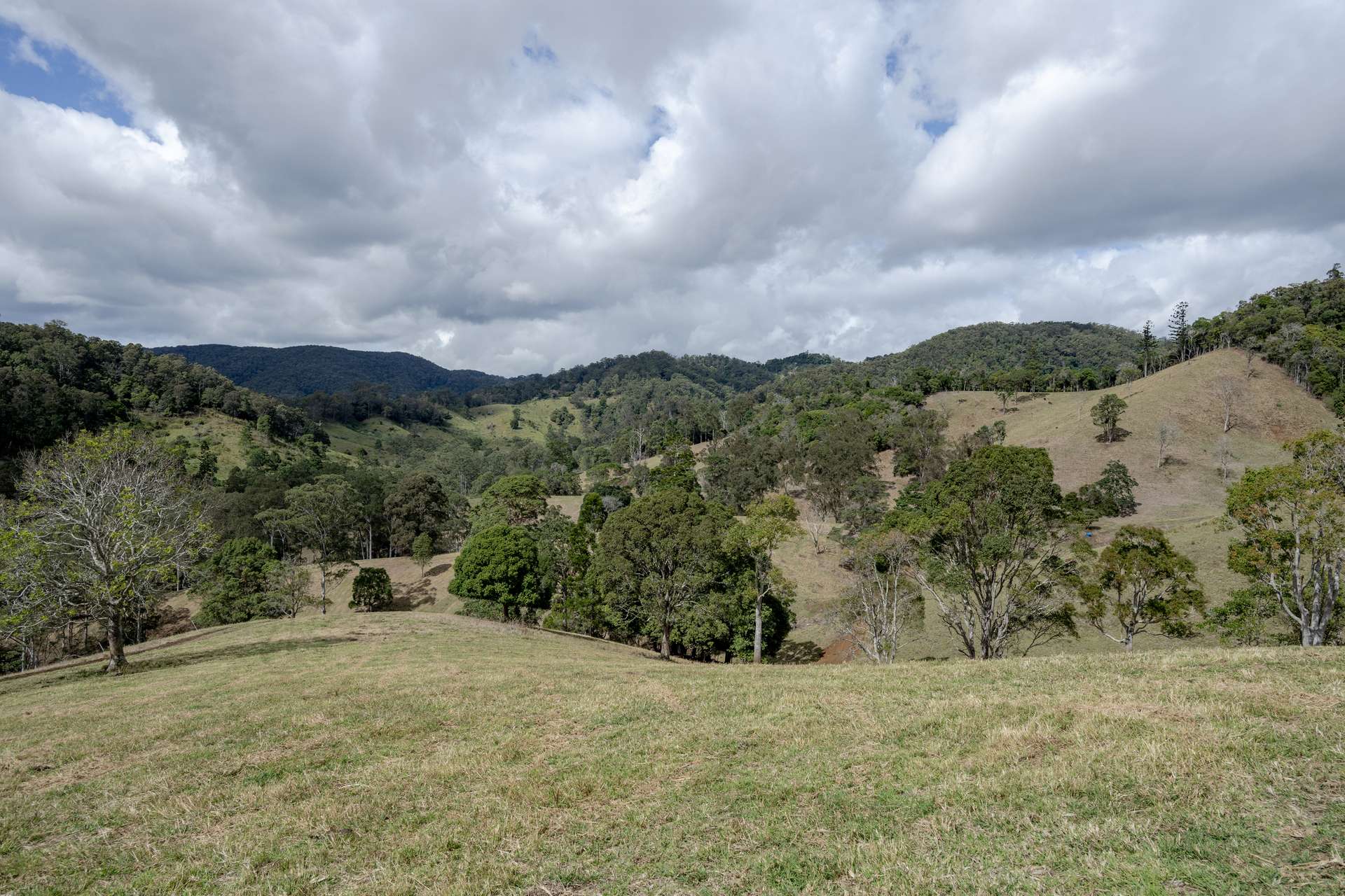 119 Perrys Road, Kidaman Creek Tender by Farmbuy.com - image 32