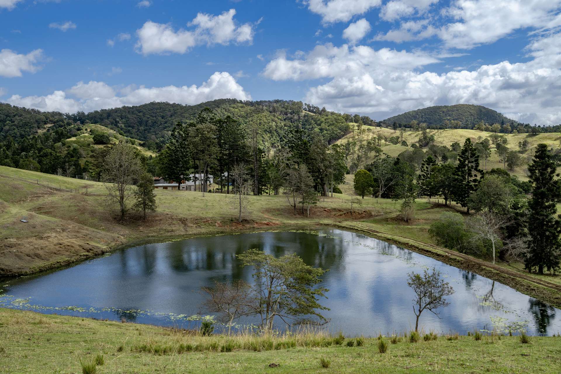 119 Perrys Road, Kidaman Creek Tender by Farmbuy.com - image 29