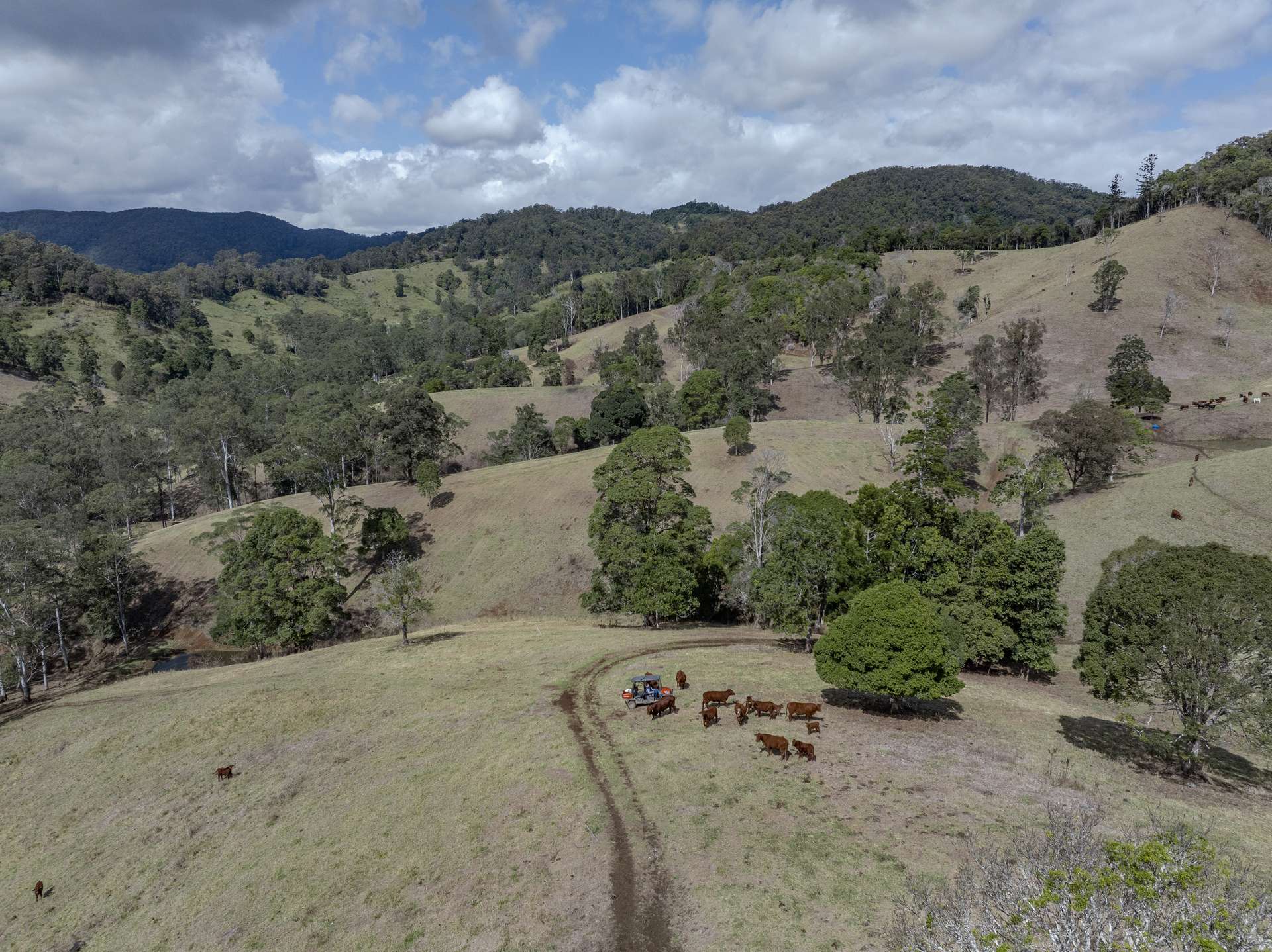119 Perrys Road, Kidaman Creek Tender by Farmbuy.com - image 31