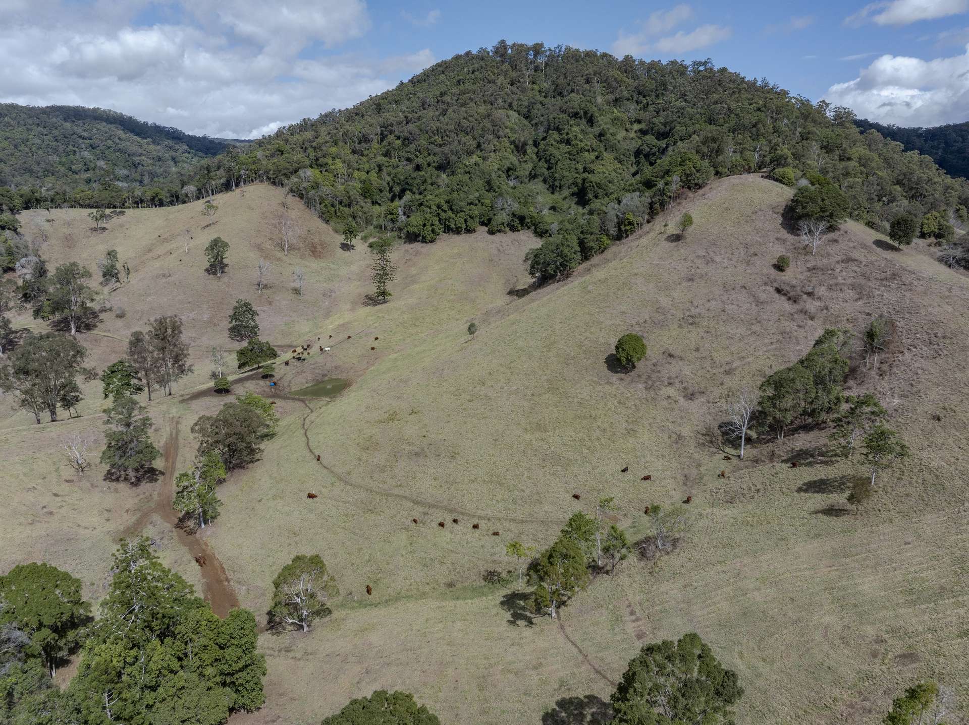 119 Perrys Road, Kidaman Creek Tender by Farmbuy.com - image 15