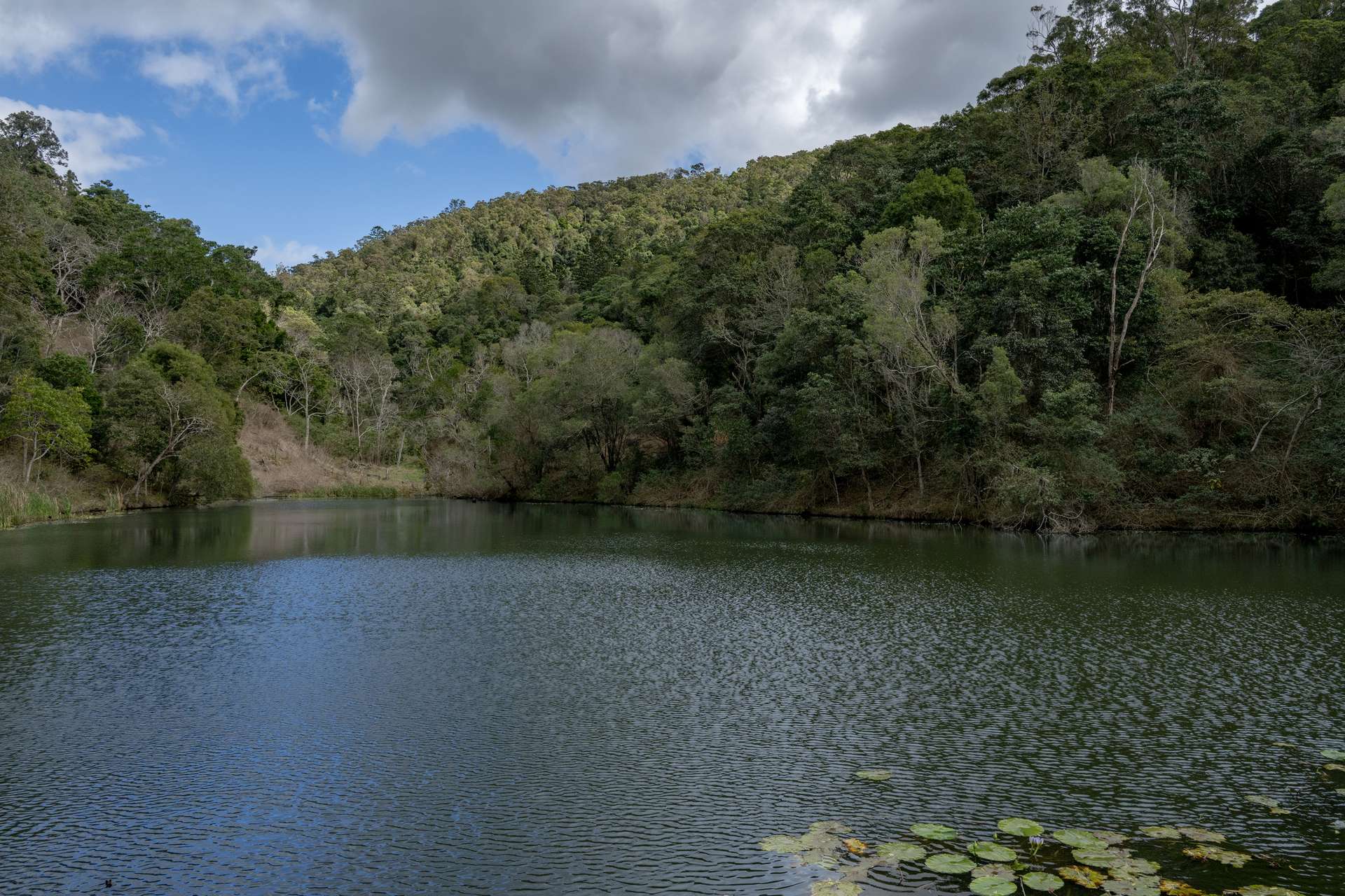 119 Perrys Road, Kidaman Creek Tender by Farmbuy.com - image 34