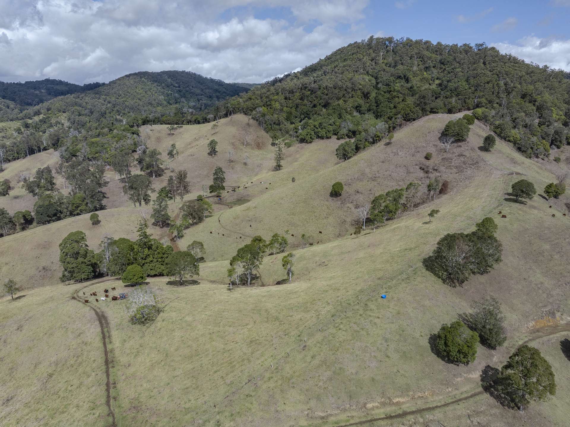 119 Perrys Road, Kidaman Creek Tender by Farmbuy.com - image 35