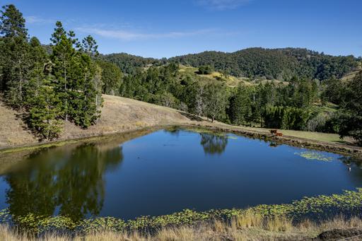 Farm Tender - QLD - Kidaman Creek - 4574 - "Kyuna Downs" Two Titles, Two Homes and 278* Acres - Take a Proper Look 