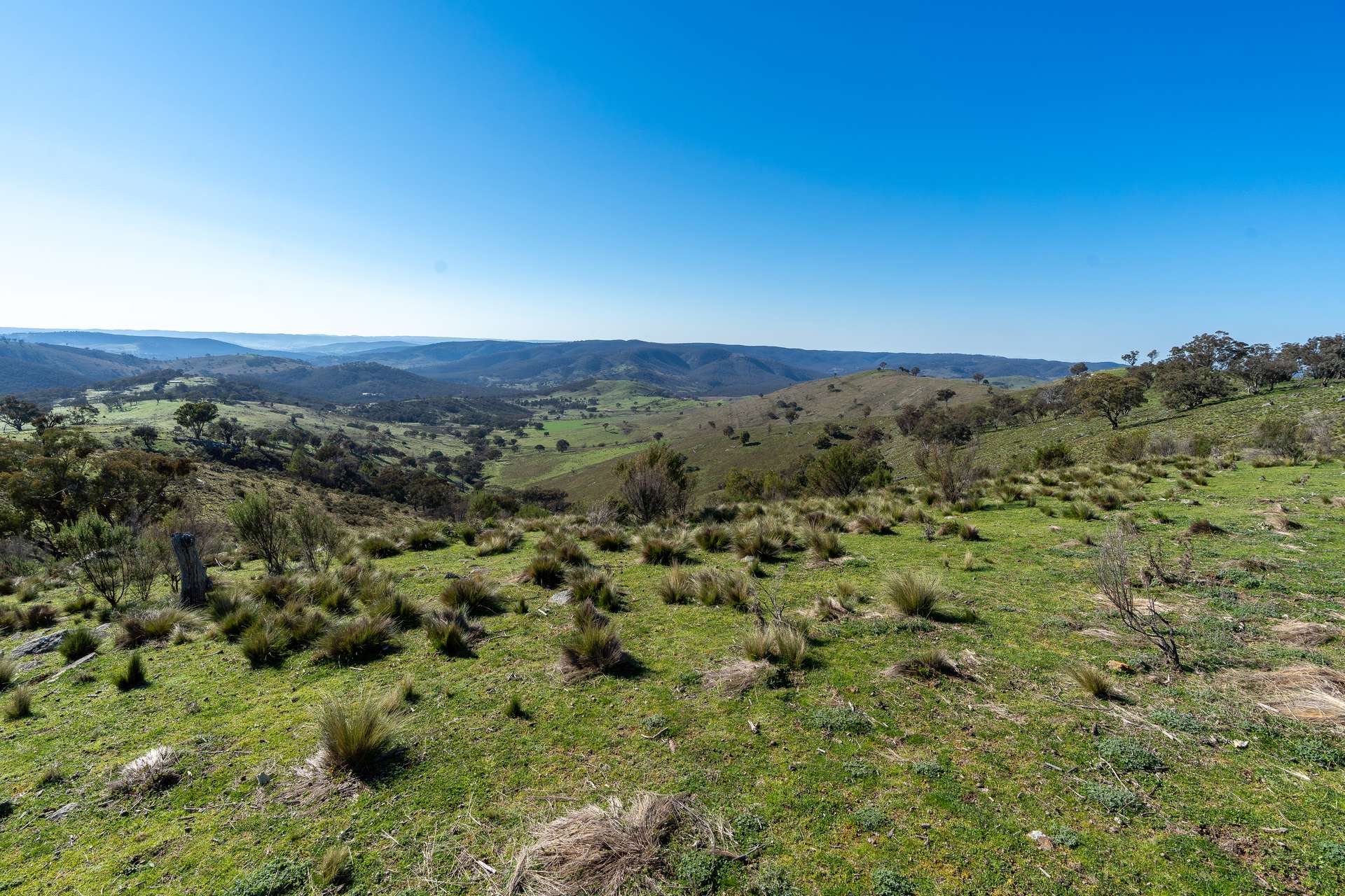 2741 Freemantle Road, Bathurst Auction by Farmbuy.com - image 3