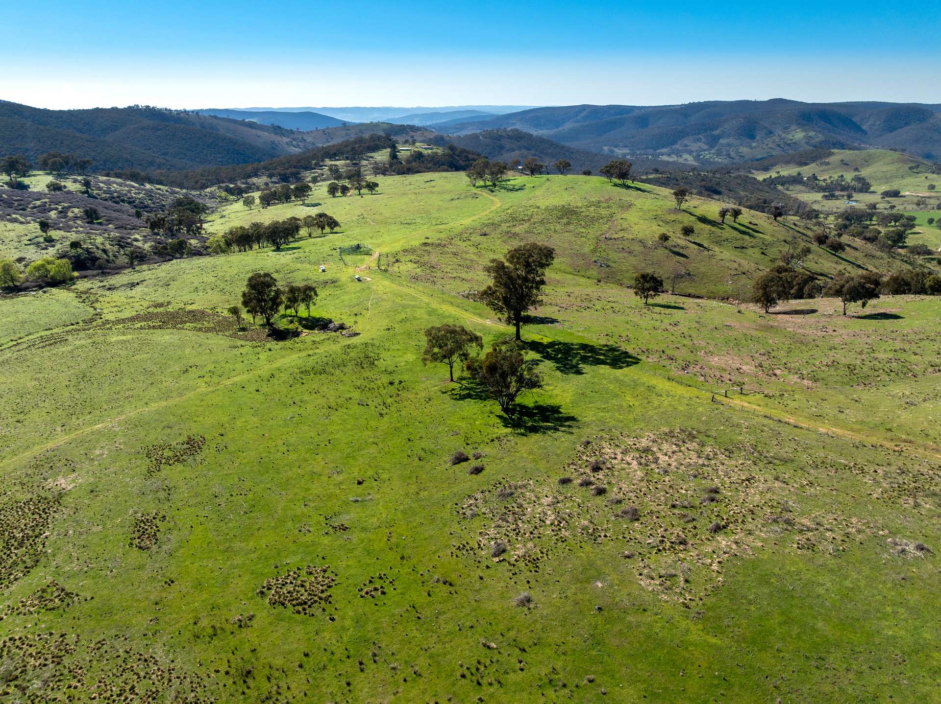 2741 Freemantle Road, Bathurst Auction by Farmbuy.com - image 7