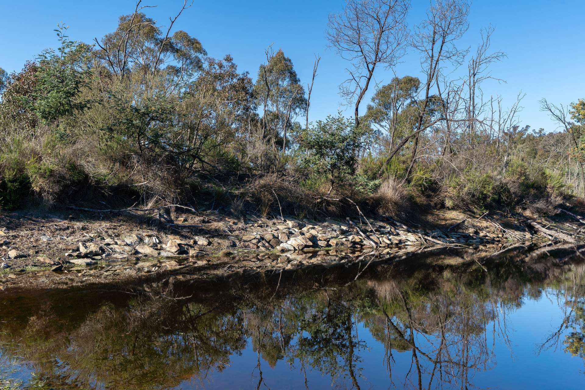 2741 Freemantle Road, Bathurst Auction by Farmbuy.com - image 9