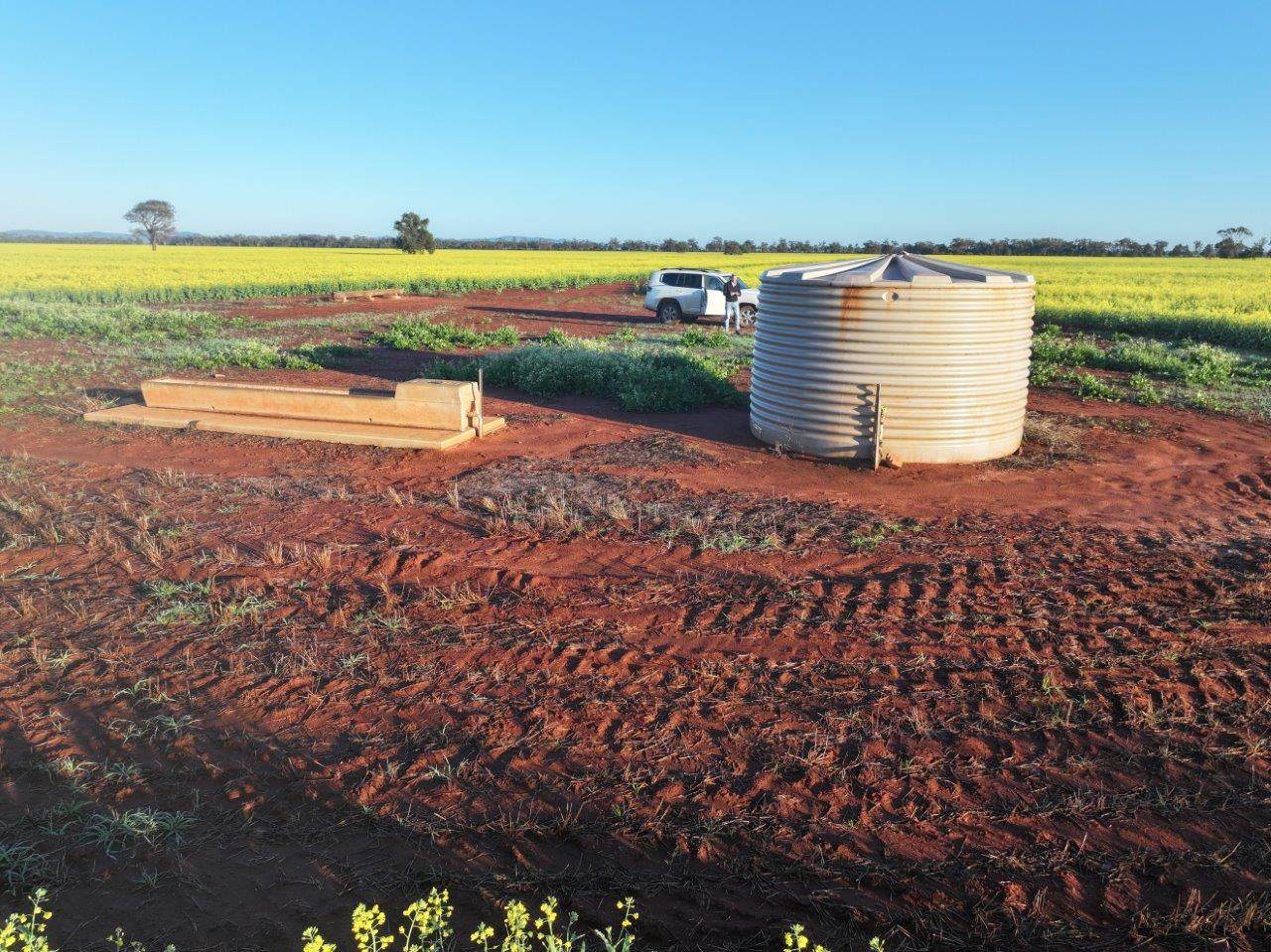 'Roseneath' 461 Begargo Rd, Lake Cargelligo For Sale by Farmbuy.com - image 12