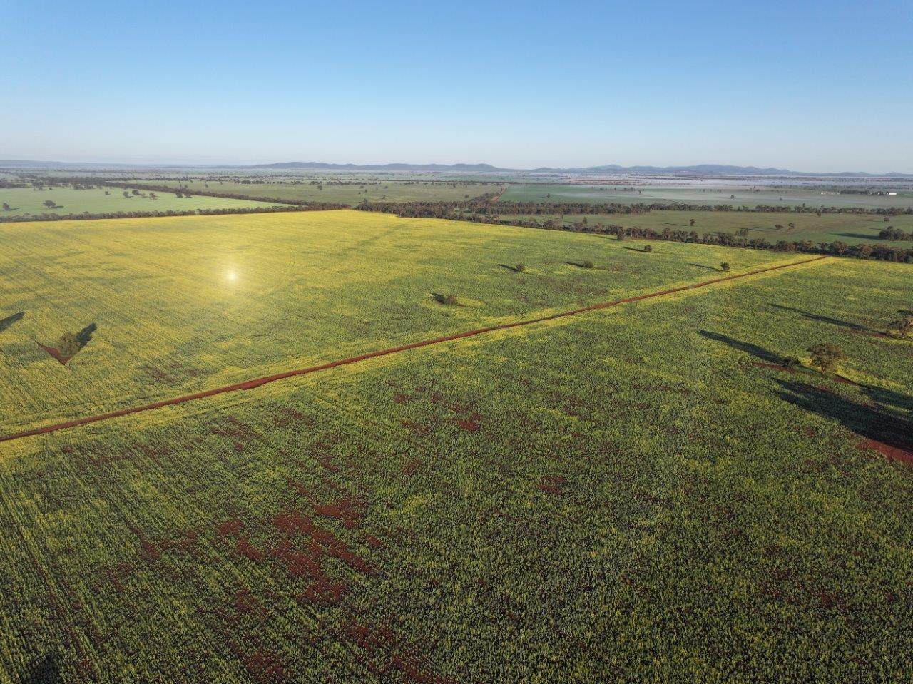 'Roseneath' 461 Begargo Rd, Lake Cargelligo For Sale by Farmbuy.com - image 4