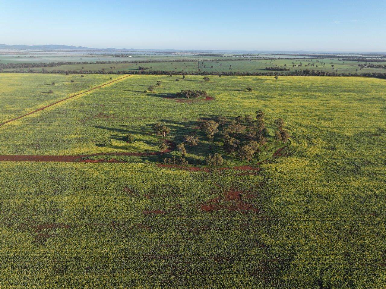 'Roseneath' 461 Begargo Rd, Lake Cargelligo For Sale by Farmbuy.com - image 8