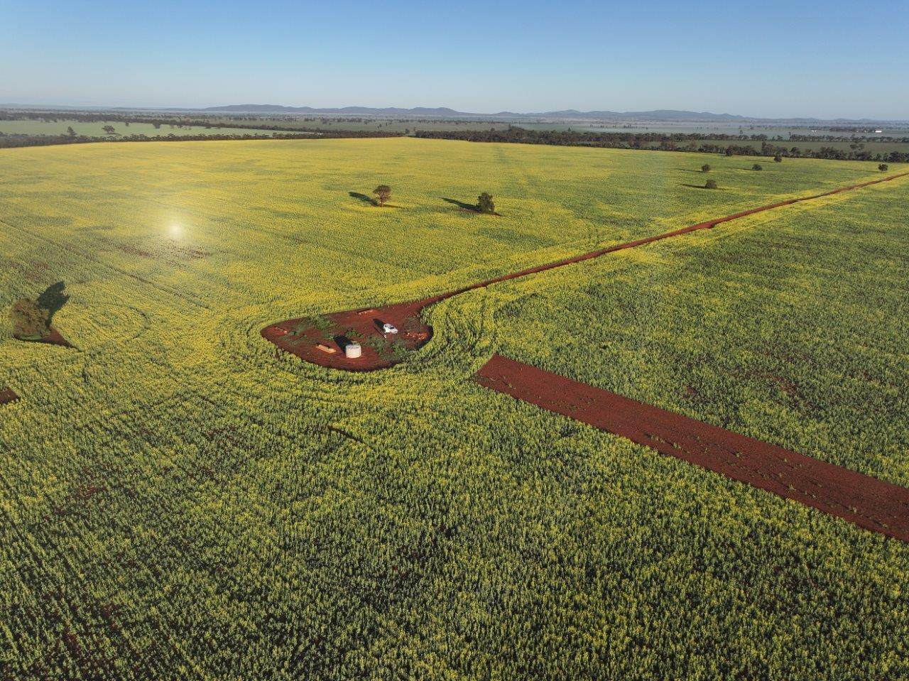 'Roseneath' 461 Begargo Rd, Lake Cargelligo For Sale by Farmbuy.com - image 9