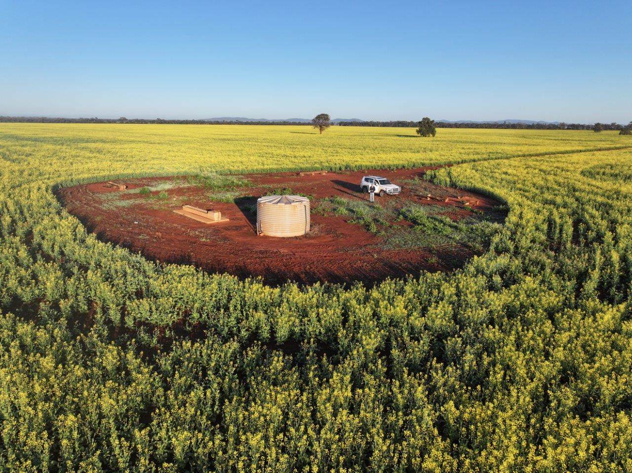 'Roseneath' 461 Begargo Rd, Lake Cargelligo For Sale by Farmbuy.com - image 11