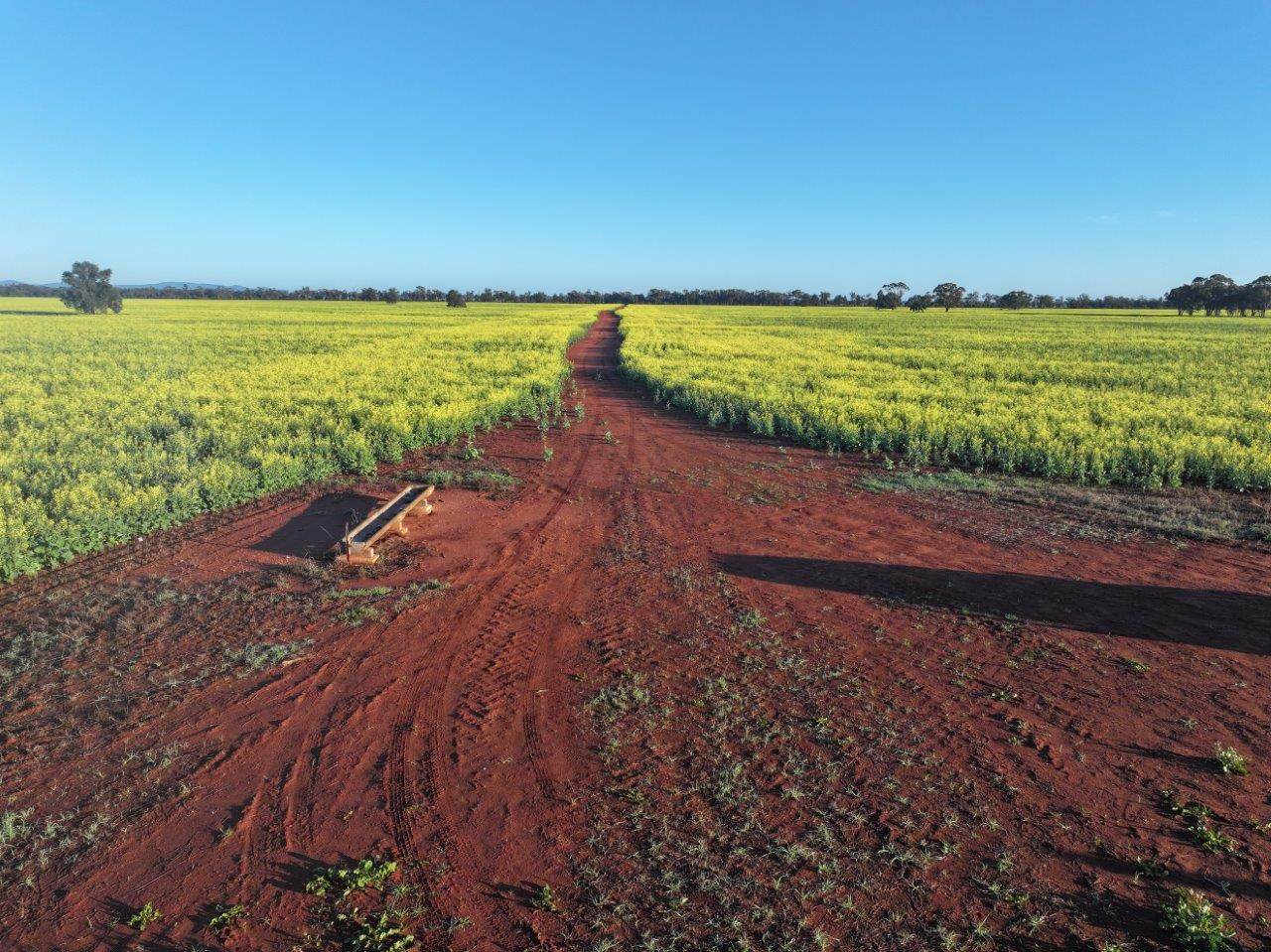 'Roseneath' 461 Begargo Rd, Lake Cargelligo For Sale by Farmbuy.com - image 17