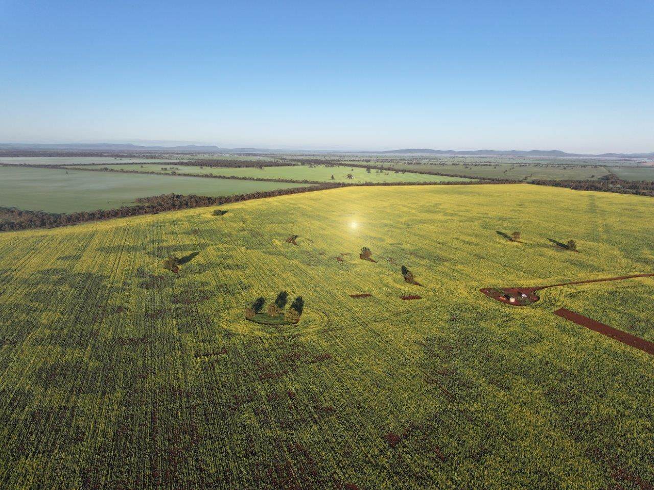 'Roseneath' 461 Begargo Rd, Lake Cargelligo For Sale by Farmbuy.com - image 6